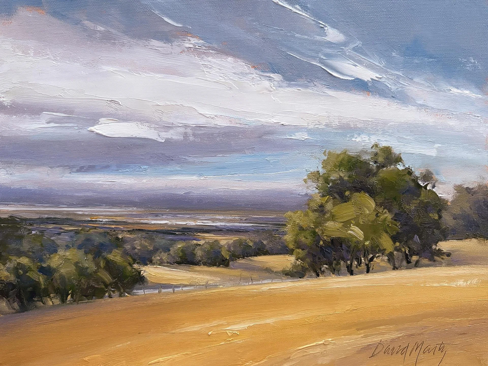 David Marty - Fields of Gold; 9x12 oil, $875
