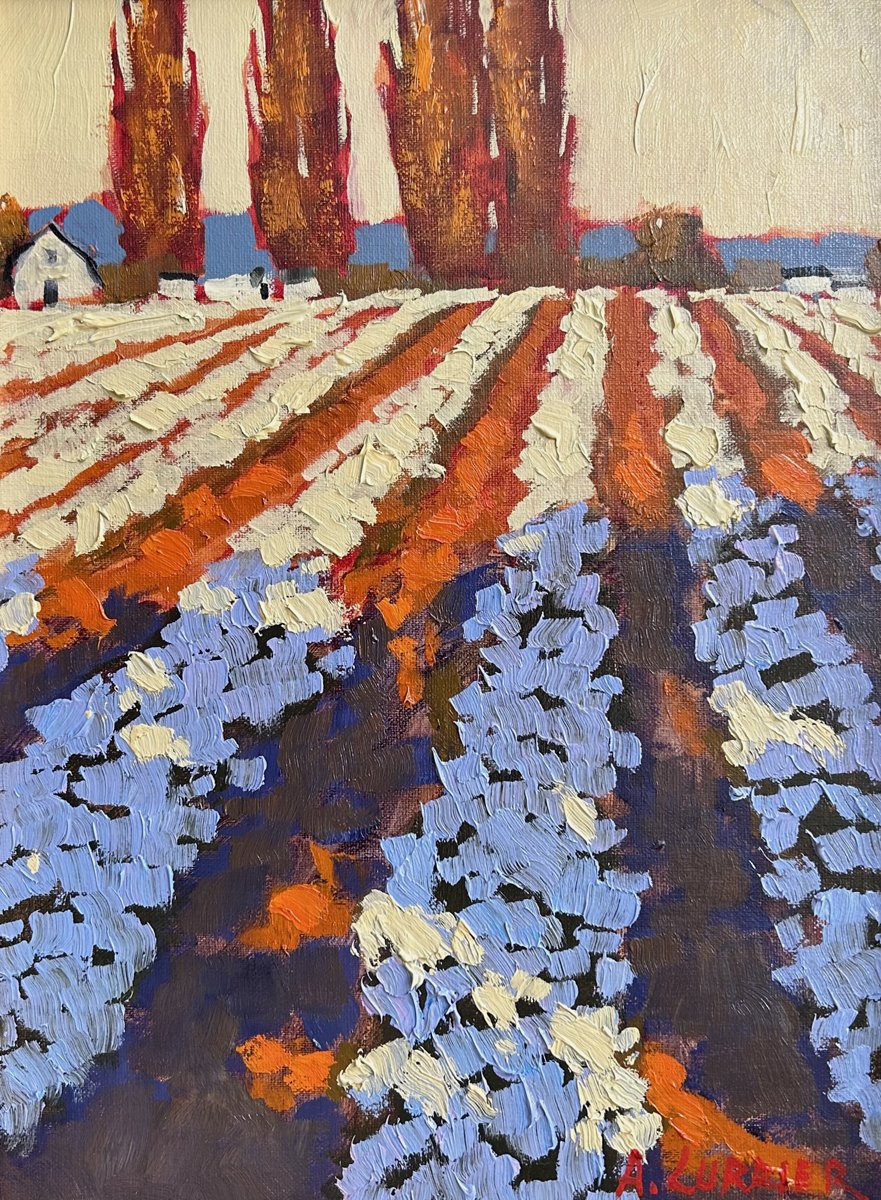 Cast Shadows, 12 x 9 oil, $950 SOLD