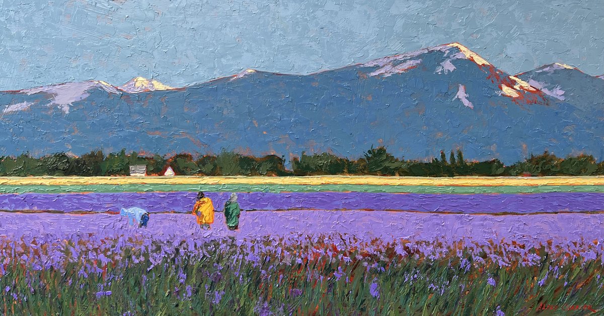 Pacific Northwest, 24 x 48 oil, $6500