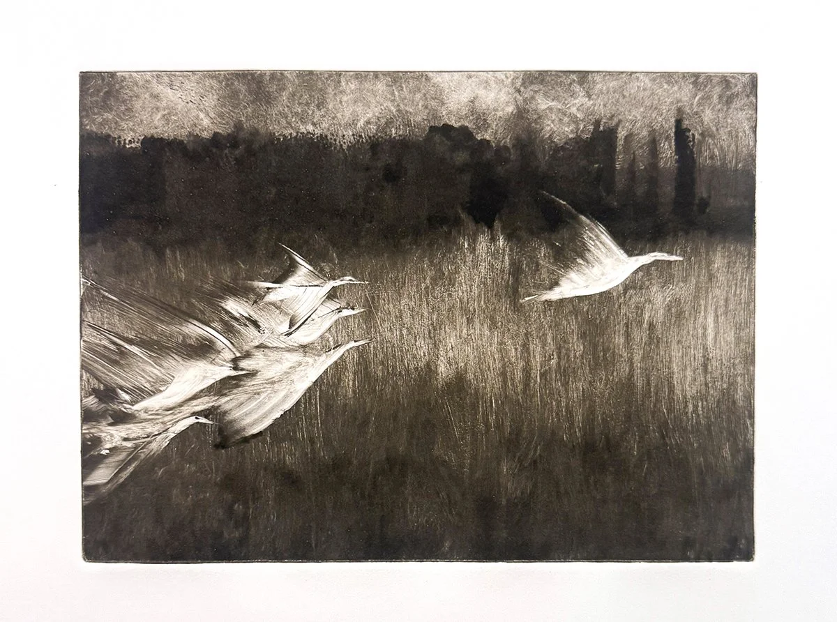 Monotype 343, 10x14 monotype, $250