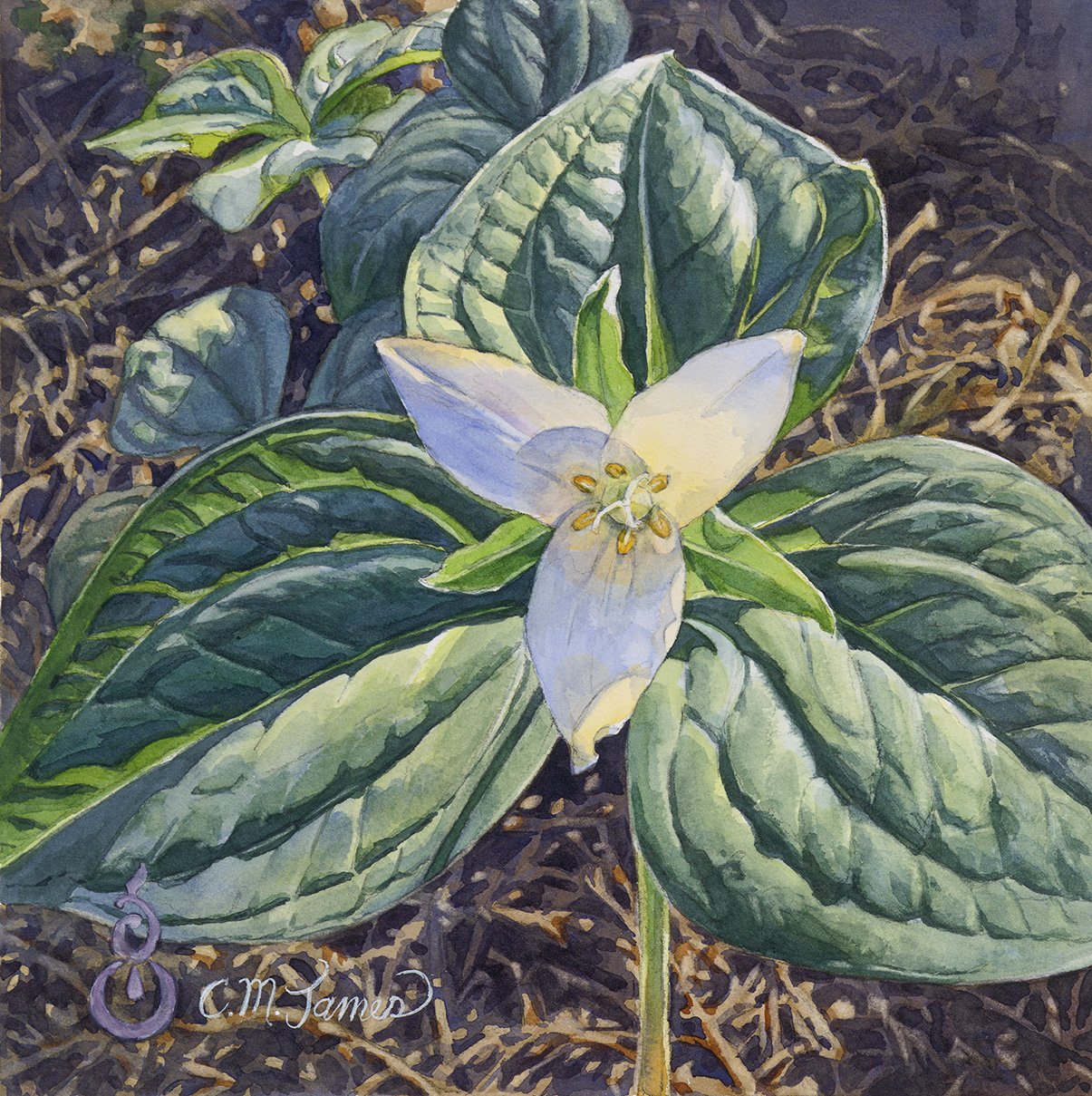 Spring Symmetry, 10x10 watercolor, $300 SOLD