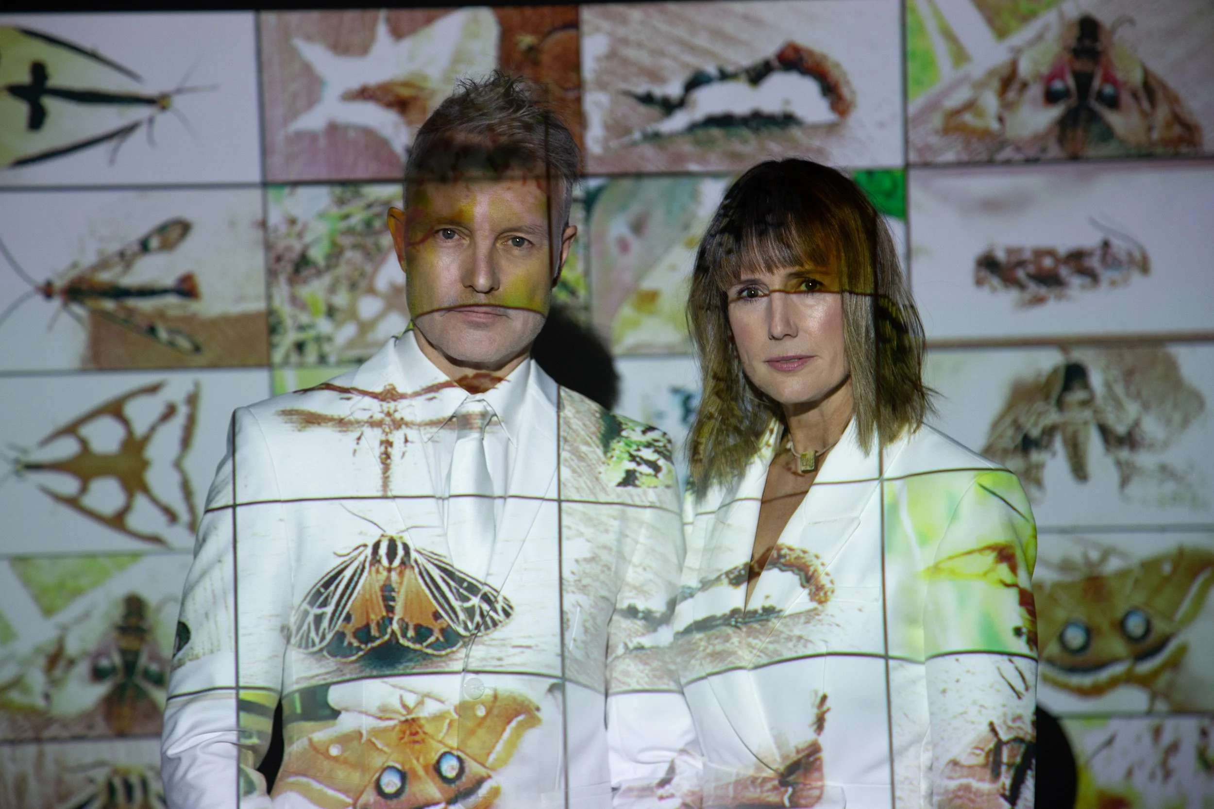 Moths1436_REV_2022_1220.jpg