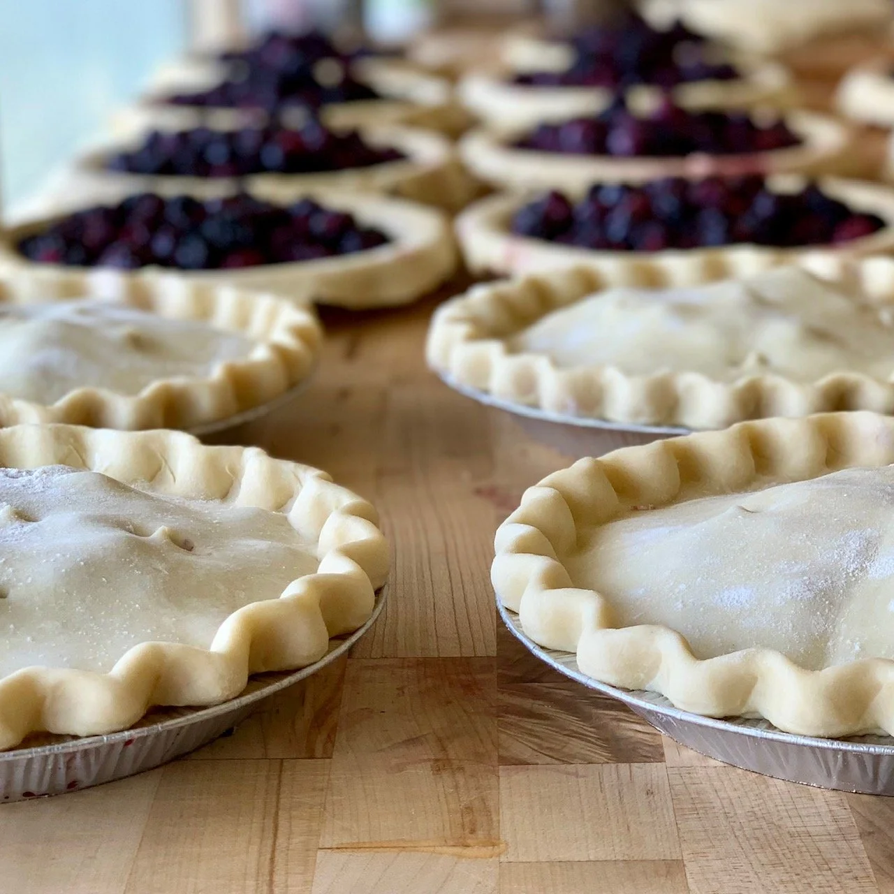 Several unbaked blueberry pies with crimped crusts