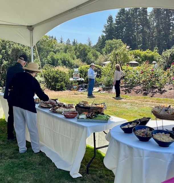 Outdoor gathering with people selecting food from buffet tables