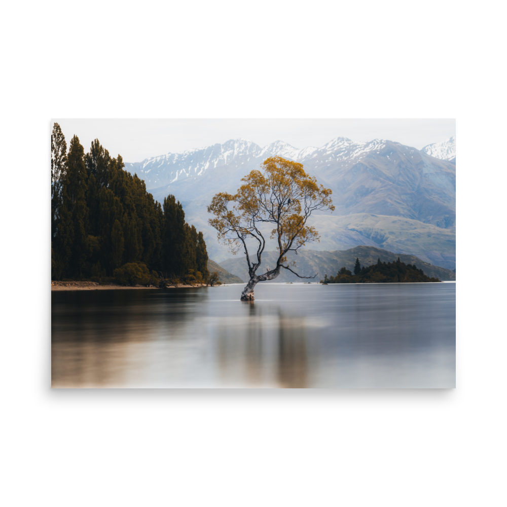 enhanced-matte-paper-poster-(in)-24x36-front-6882eeb5d1d54.png