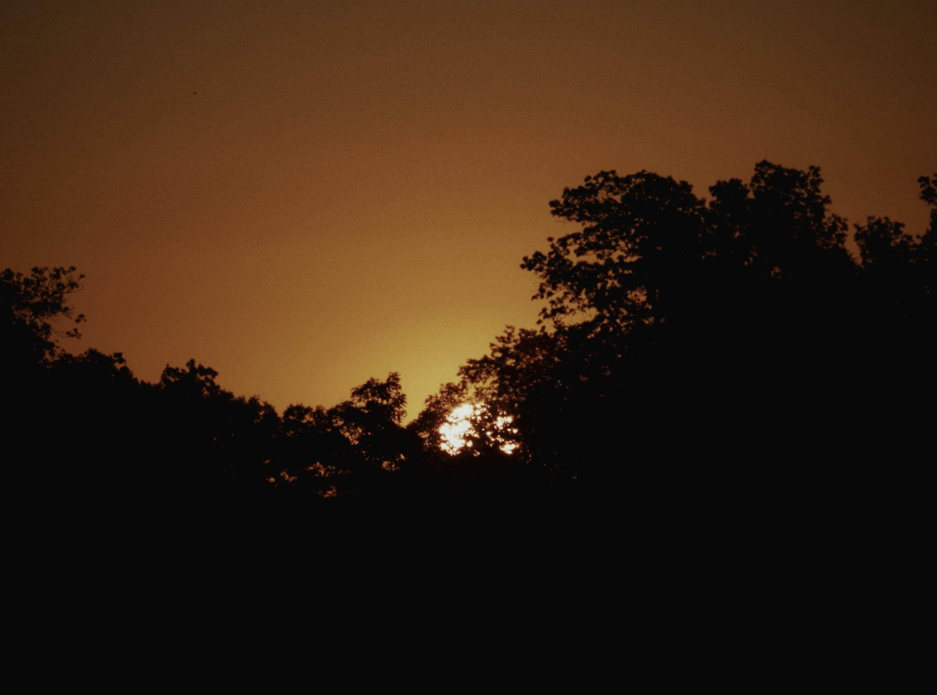 Scenics8.png