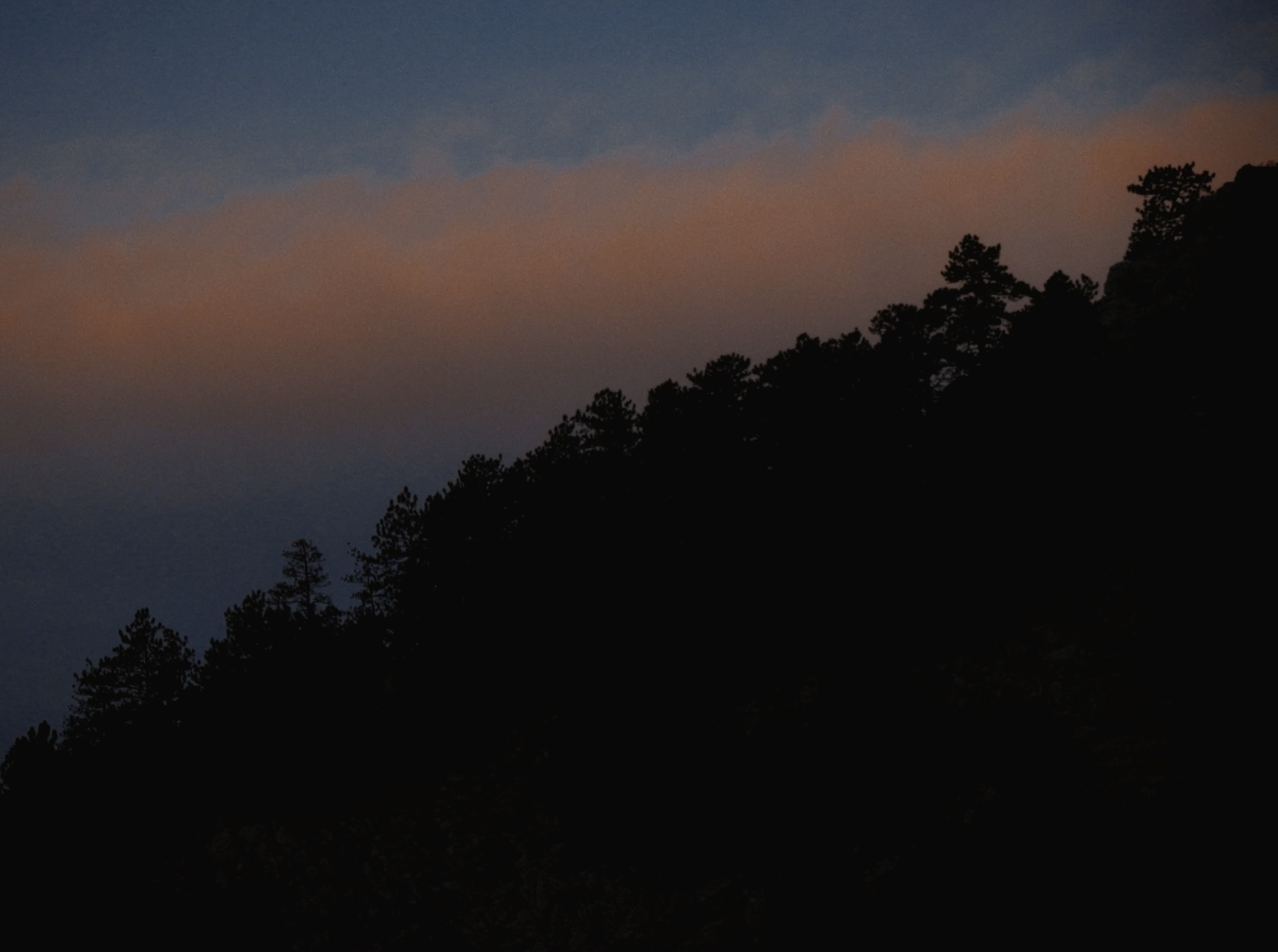 Scenics9.png