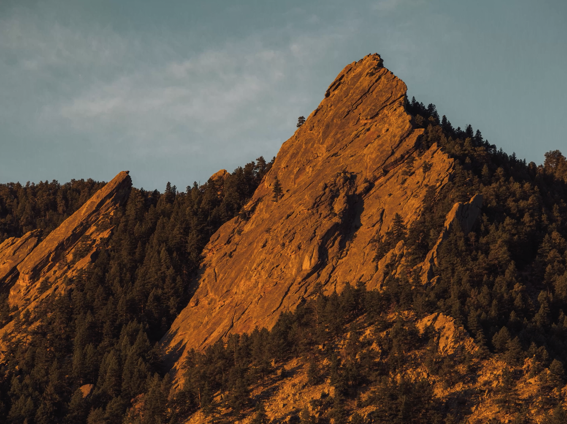 Scenics12.png