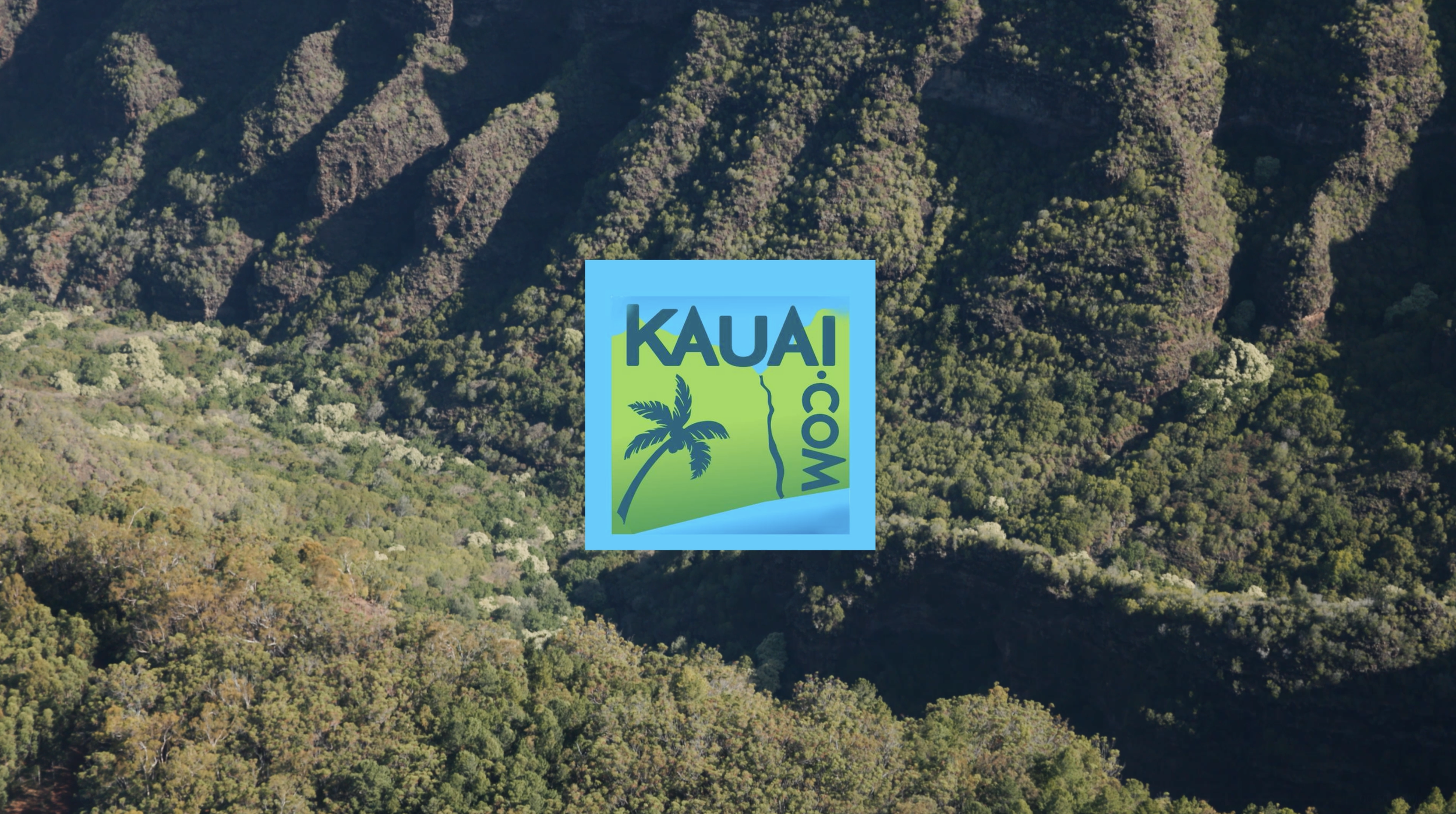 Kauai.com_23.png