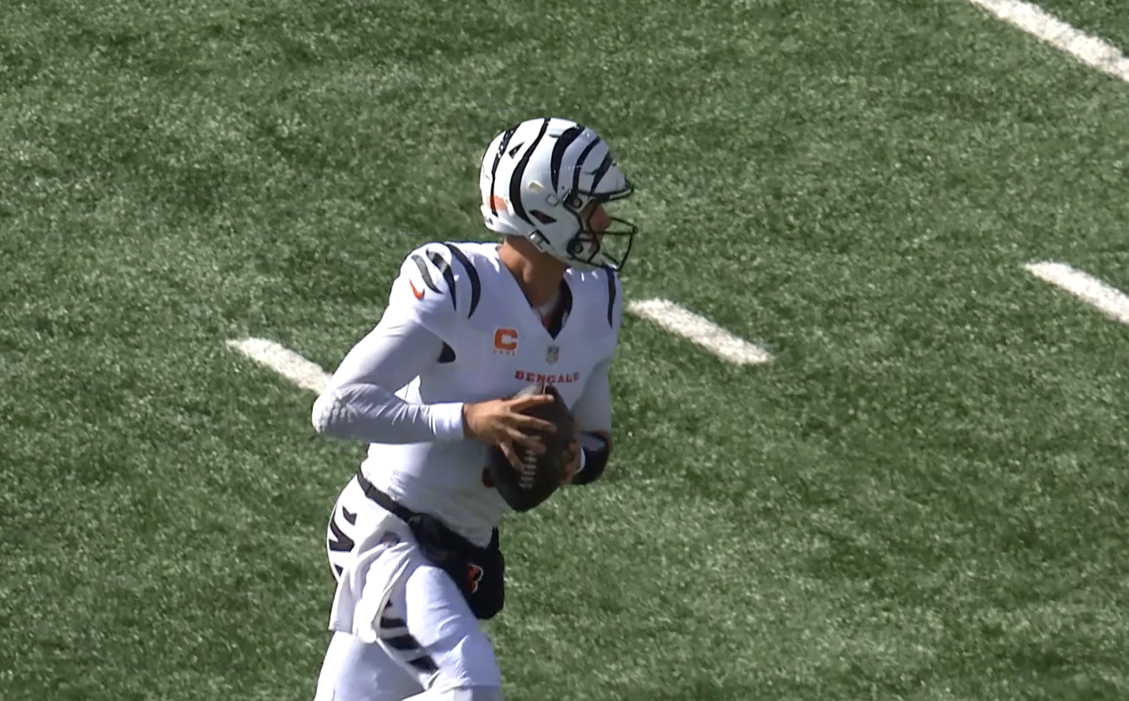 Bengals.png