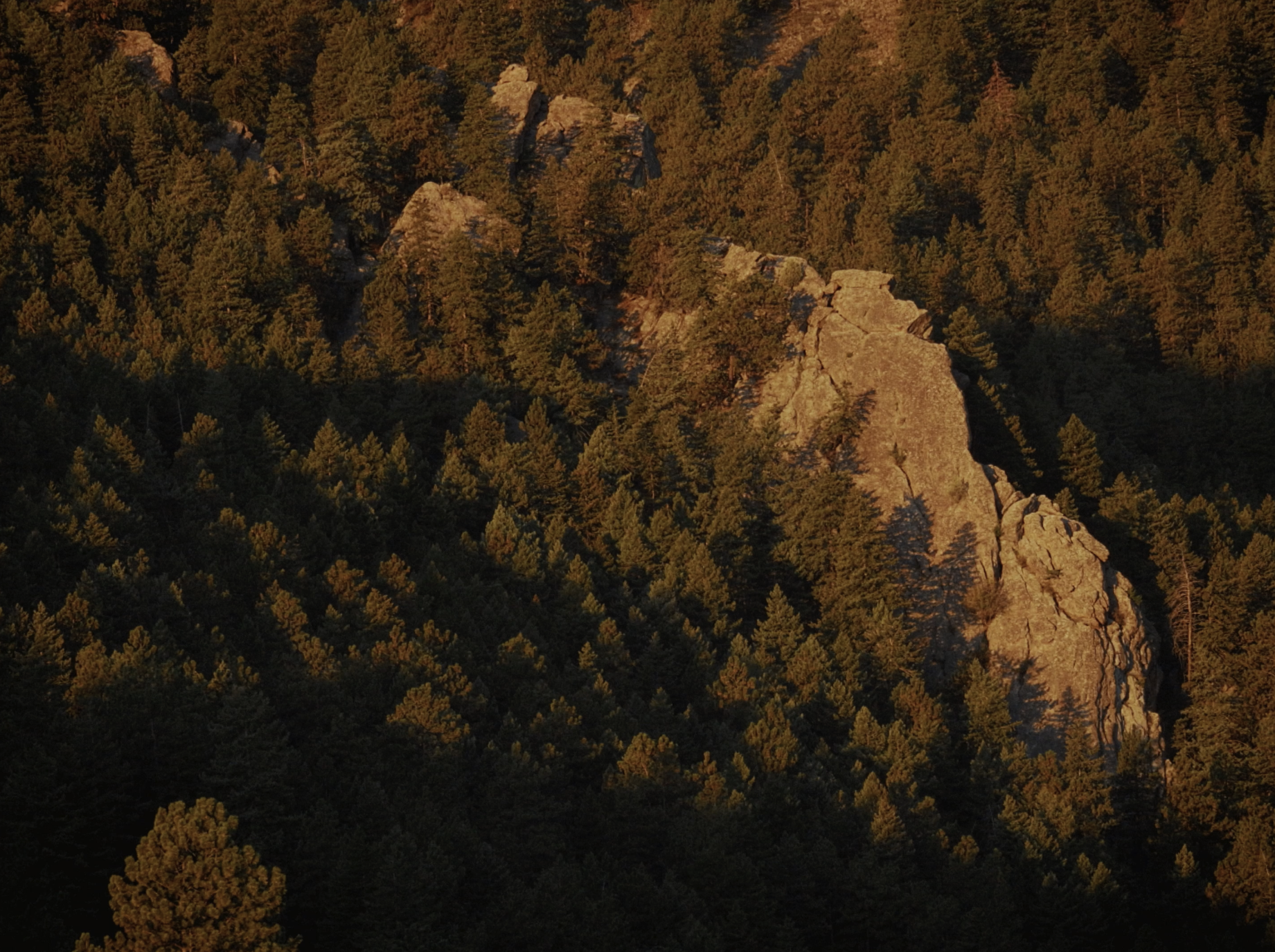 Scenics7.png