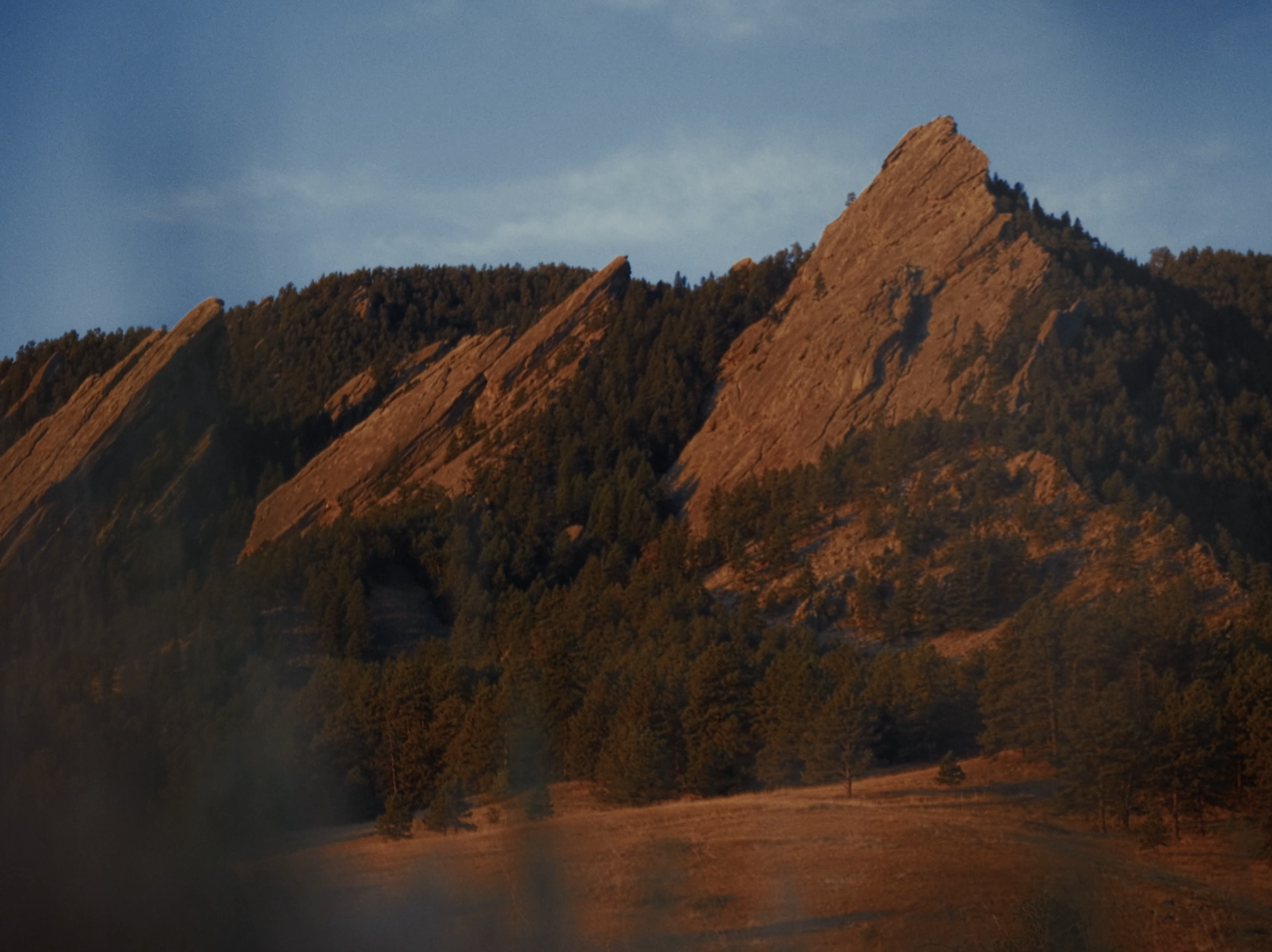 Scenics6.png