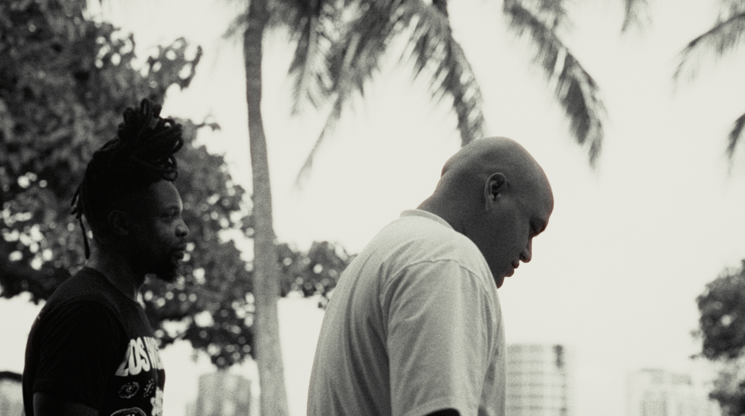 Top of The Rainbow13.png