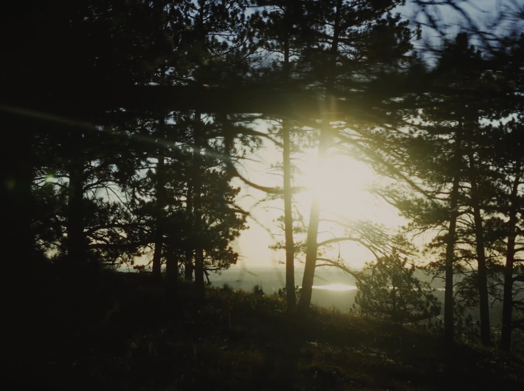 Scenics14.png
