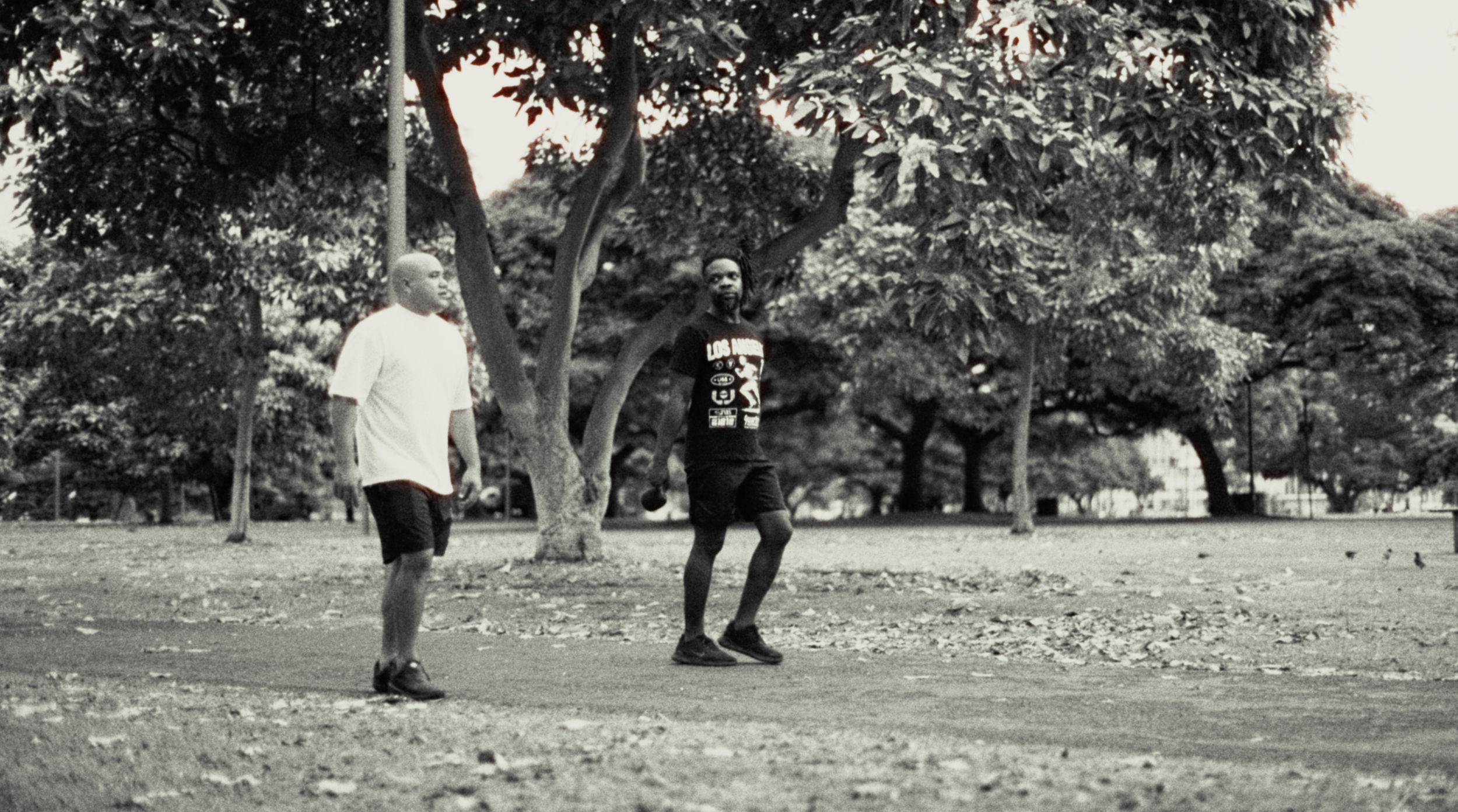 Top of The Rainbow10.png