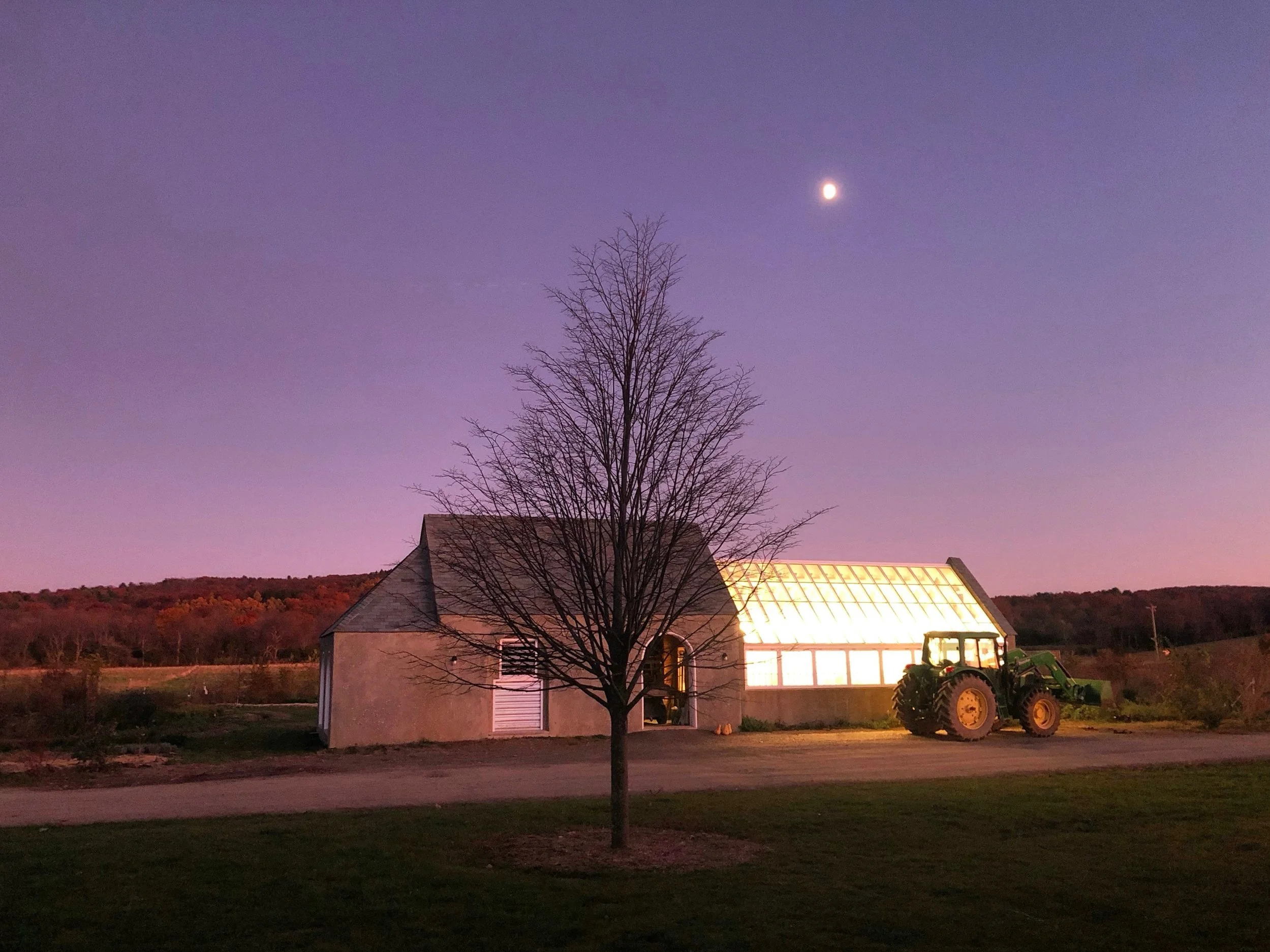 greenhouse.jpg