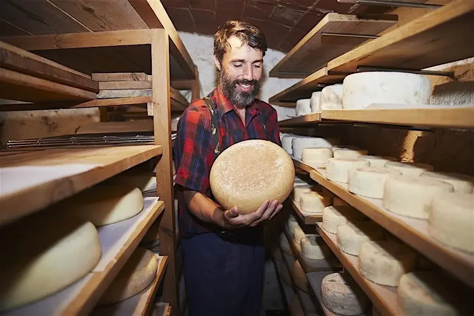 Pre-talk cheese tasting with Milk Trekker