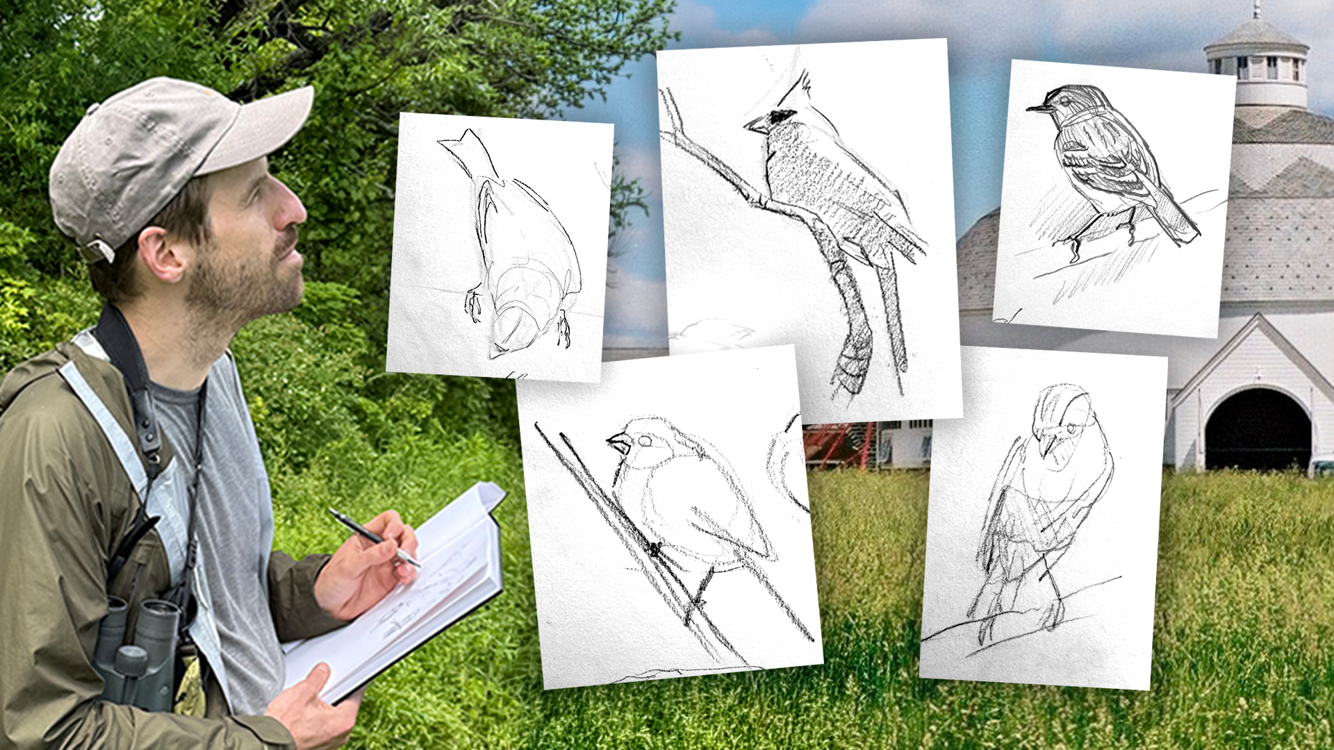 Bird Sketching Workshop and Walk 