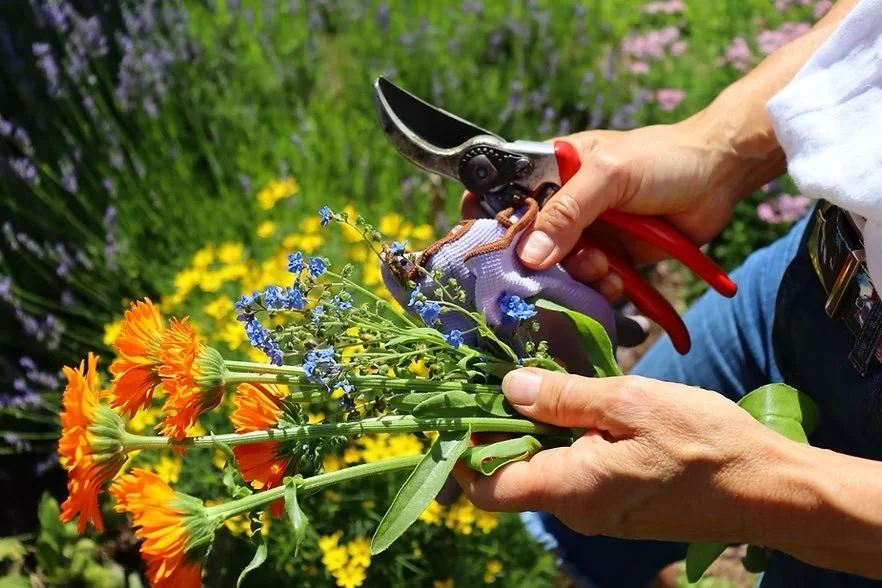 The Art of Slow Beauty: Pressed Botanical Art Workshop