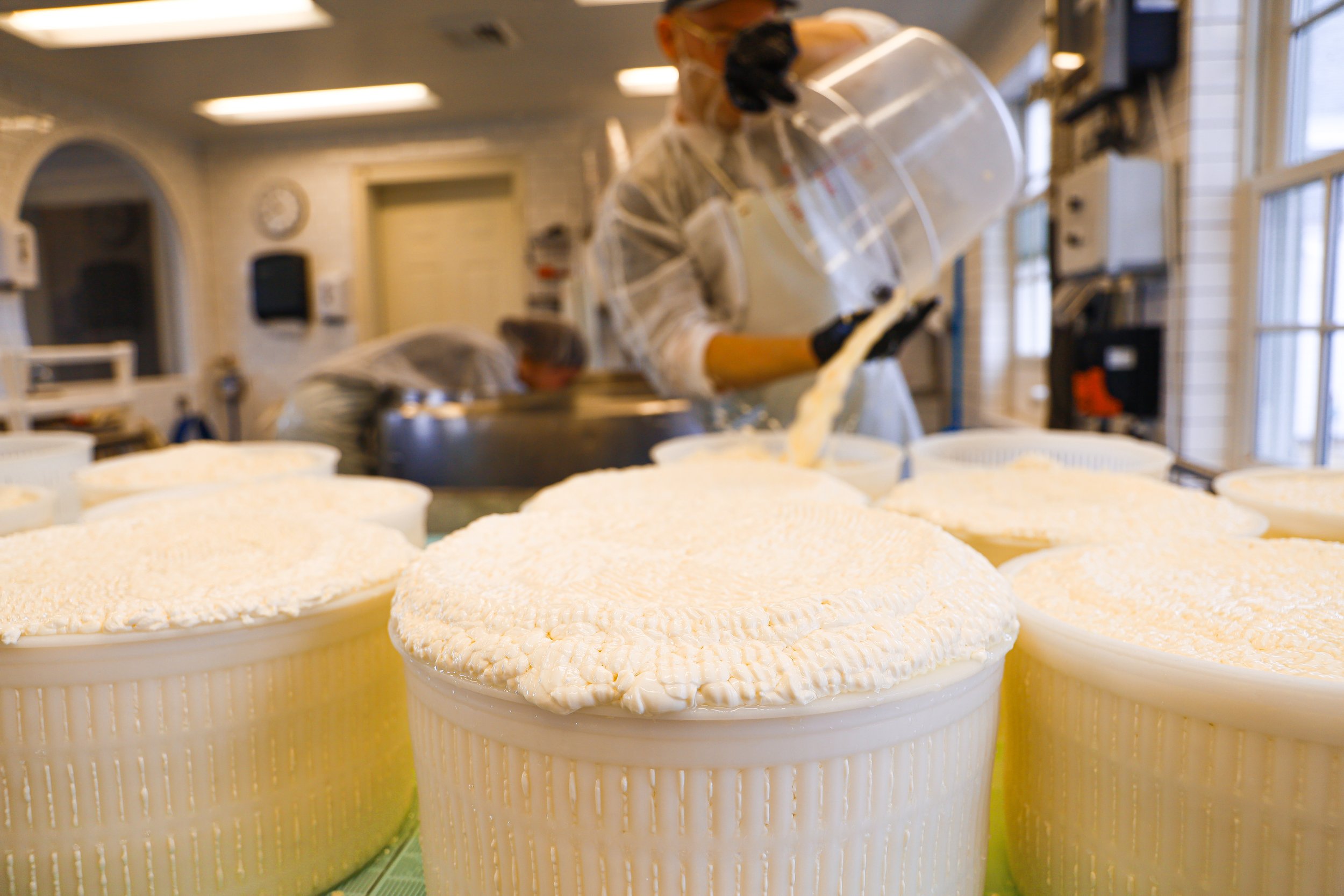 Cheesemaking — Churchtown Dairy