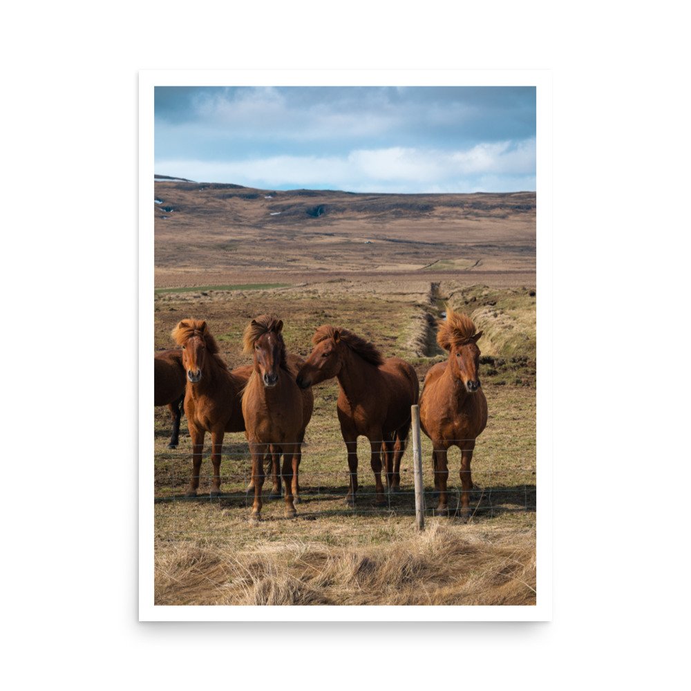 premium-luster-photo-paper-poster-(in)-18x24-front-62eda47fb9df0.jpg