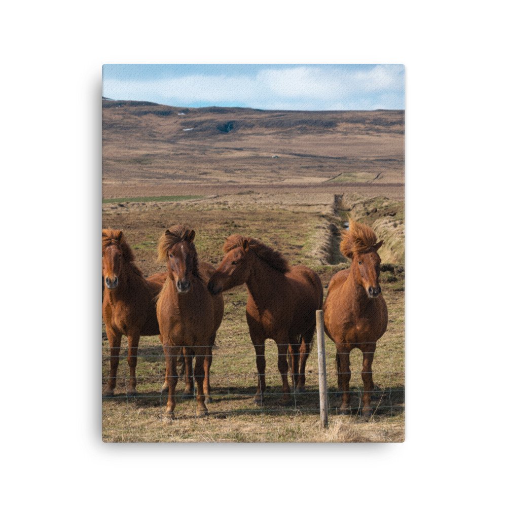 canvas-(in)-16x20-wall-630389fd3731f.jpg