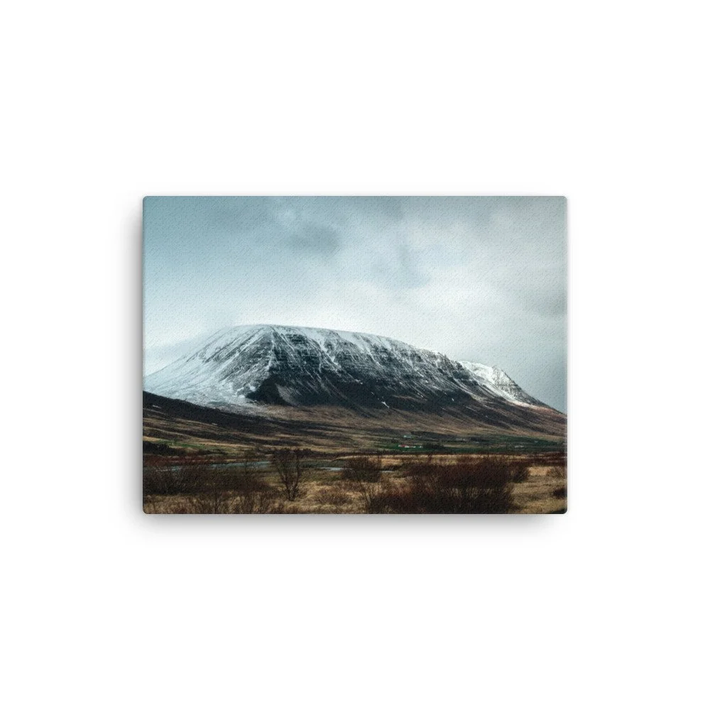 canvas-(in)-12x16-wall-6303b00ab8c2b.jpg