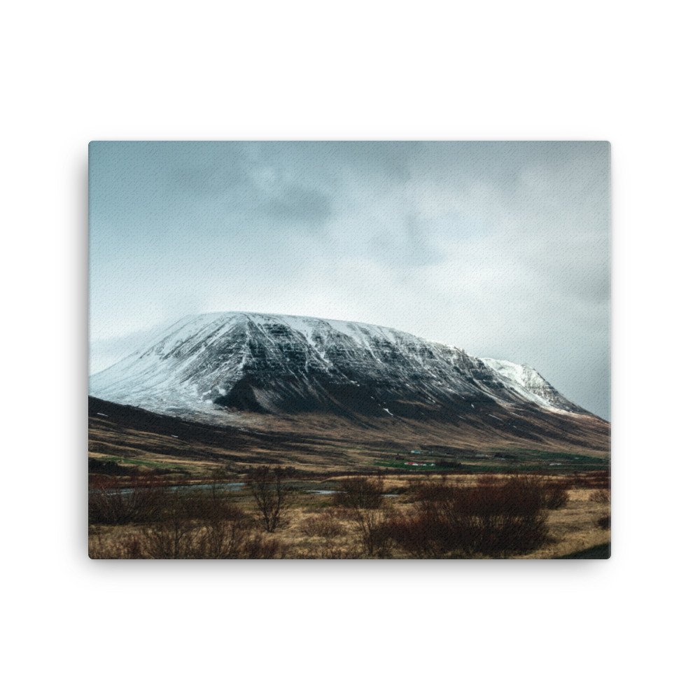 canvas-(in)-16x20-wall-6303b00ab8d4b.jpg