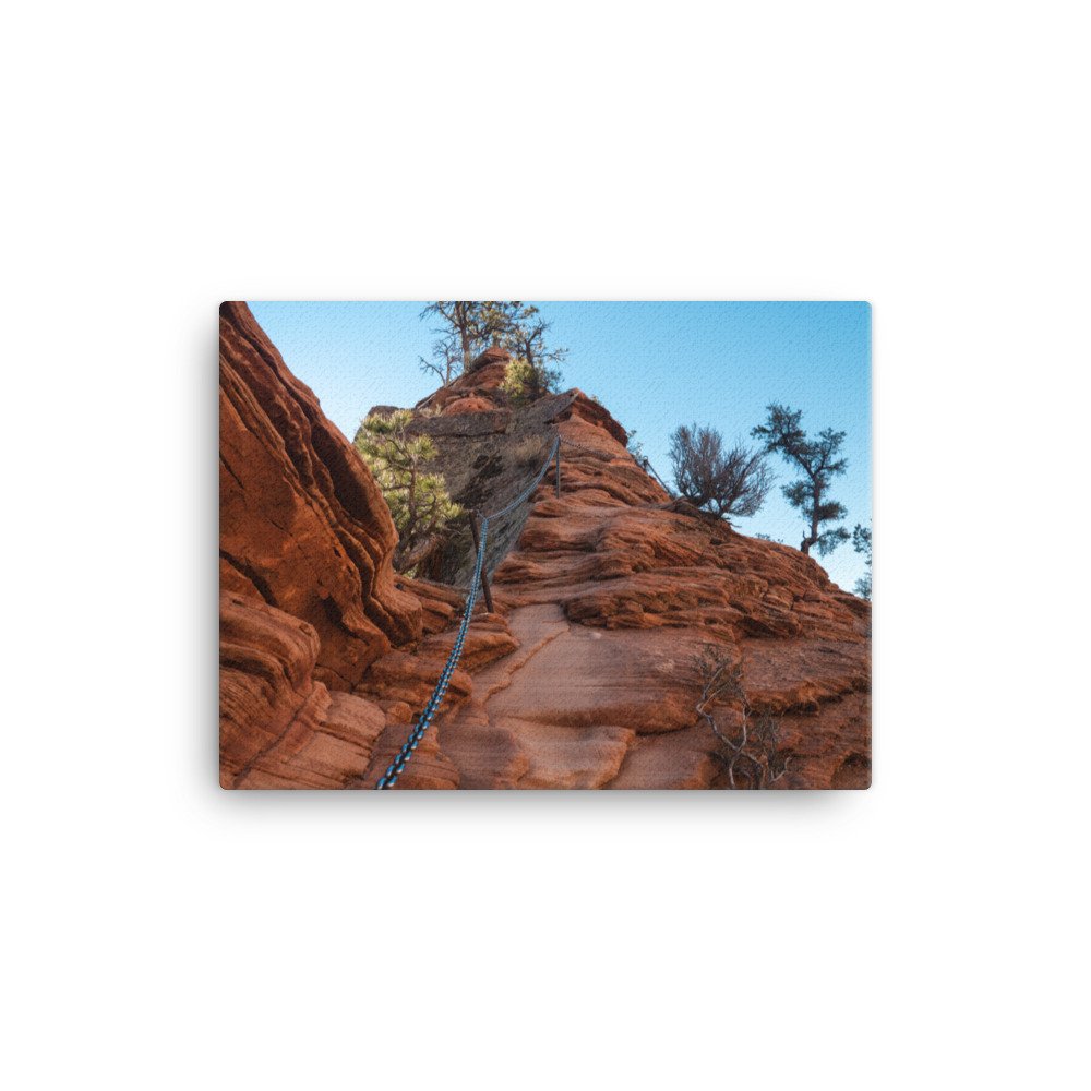 canvas-(in)-12x16-wall-636bfd46d1e50.jpg