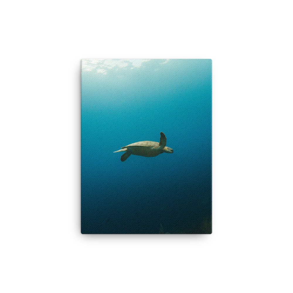 canvas-(in)-12x16-wall-63d30ccae8455.jpg