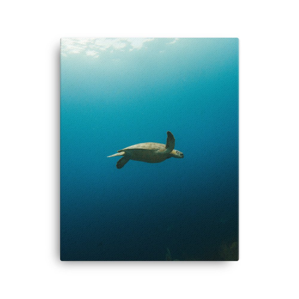 canvas-(in)-16x20-wall-63d30ccae8501.jpg