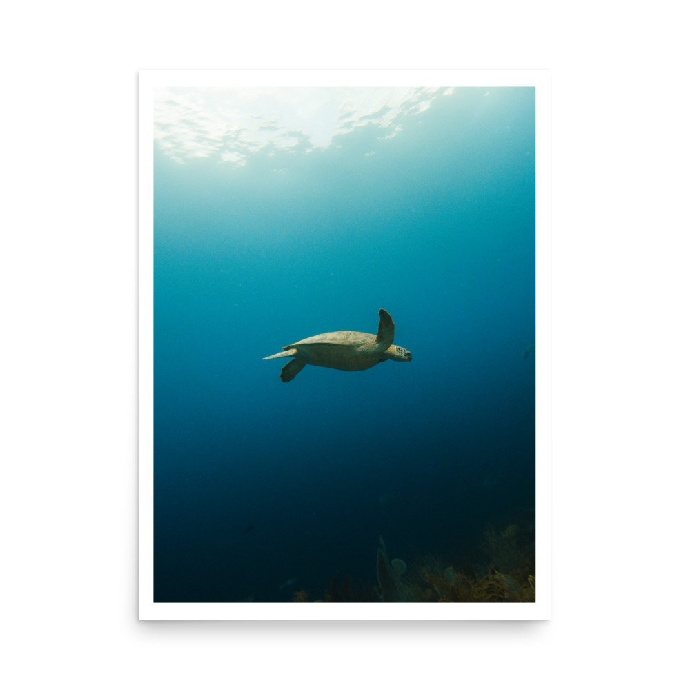 premium-luster-photo-paper-poster-(in)-18x24-front-63d30f44ef628.jpg