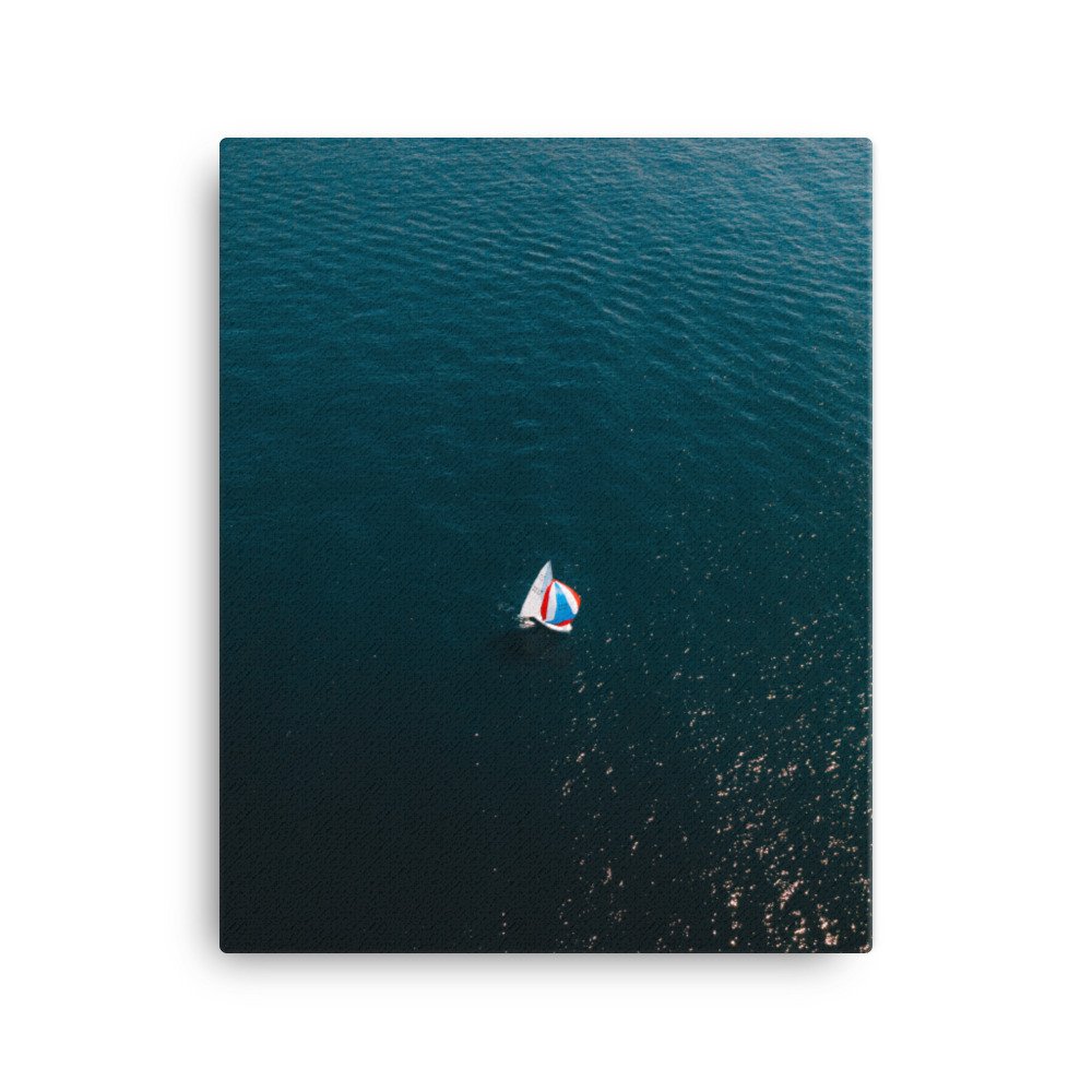 canvas-(in)-16x20-wall-63d31117d441c.jpg