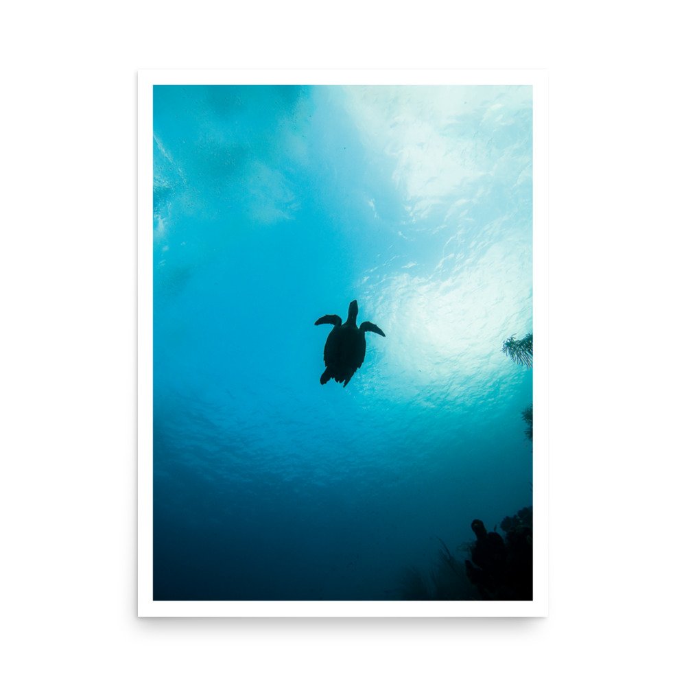 premium-luster-photo-paper-poster-(in)-18x24-front-63d339adb9ef3.jpg