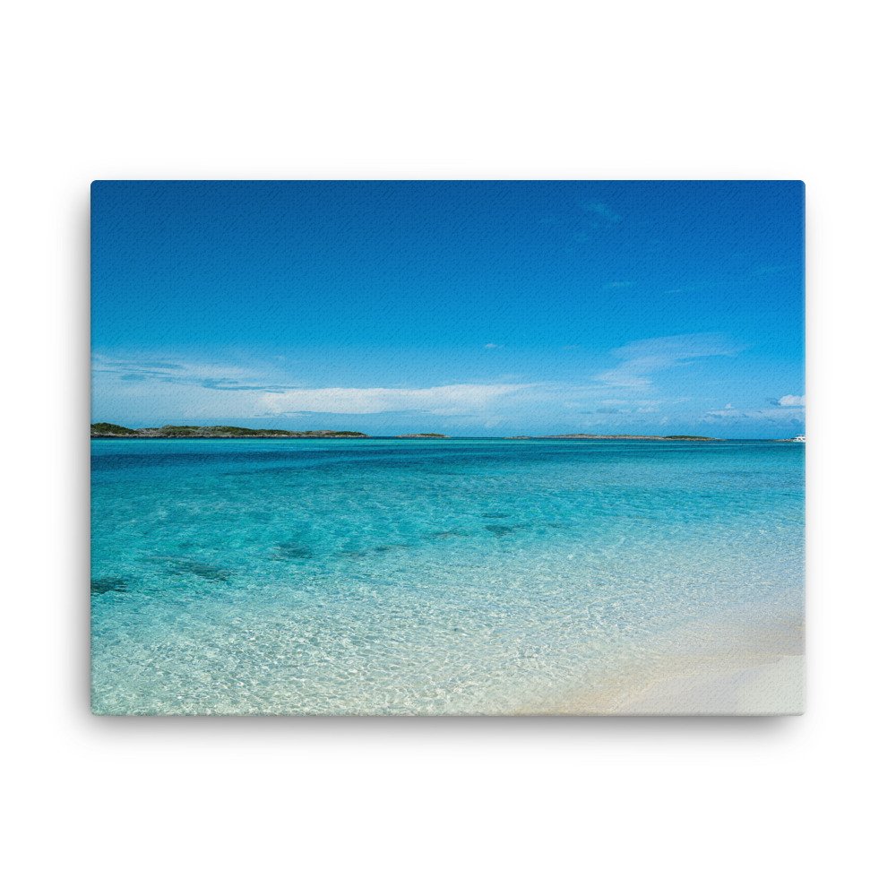 canvas-(in)-18x24-wall-63ec43eaa9b4c.jpg