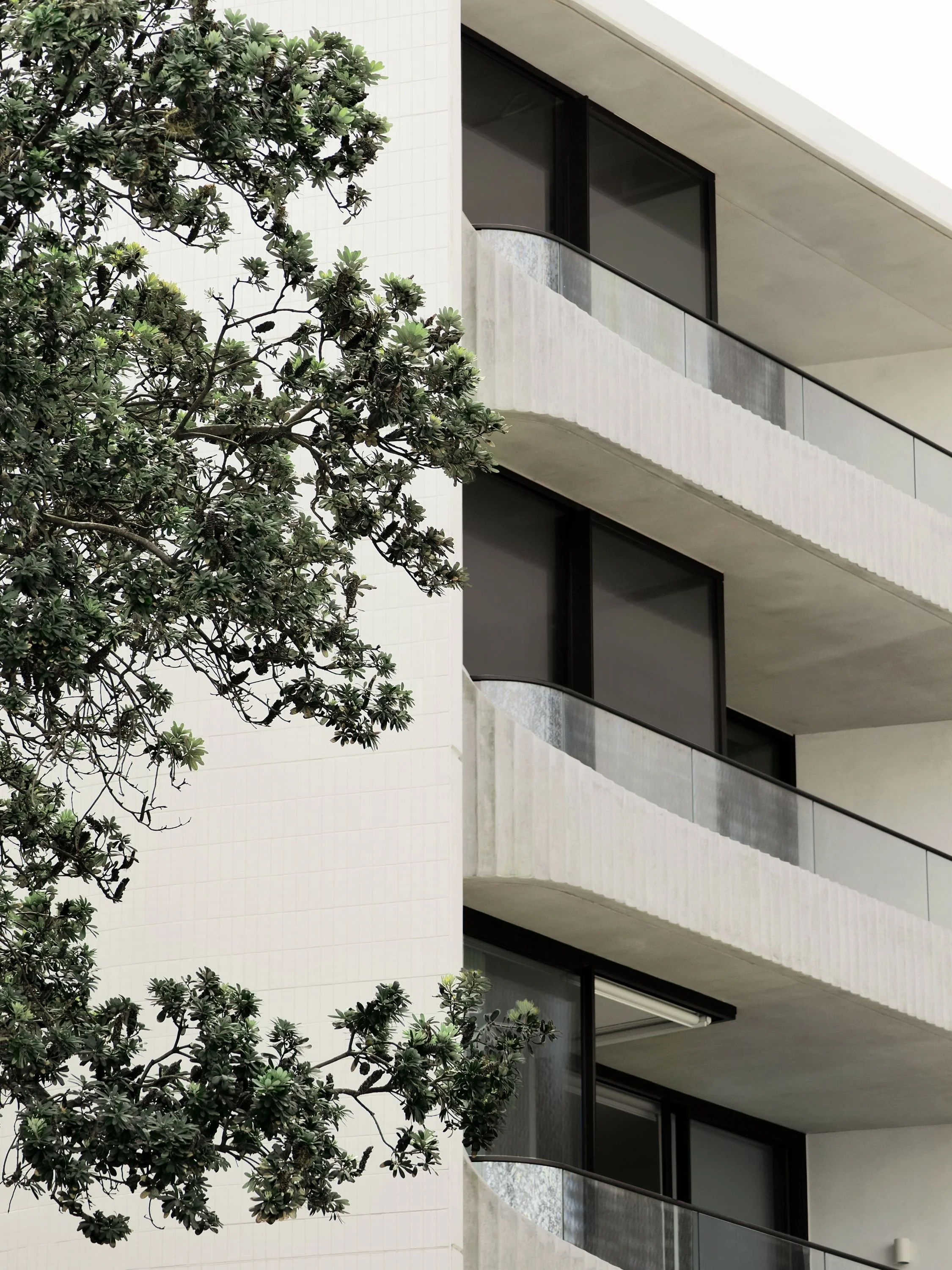 SSC_Hall+Campbell _130_Lo.jpg