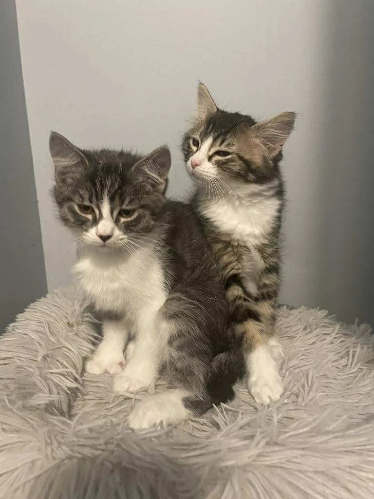 Georgia & Ginny