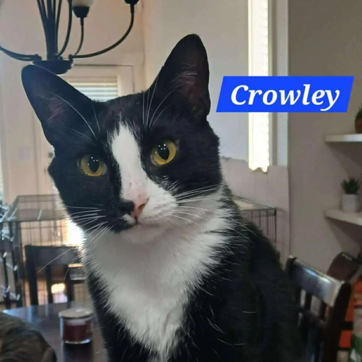 Crowley