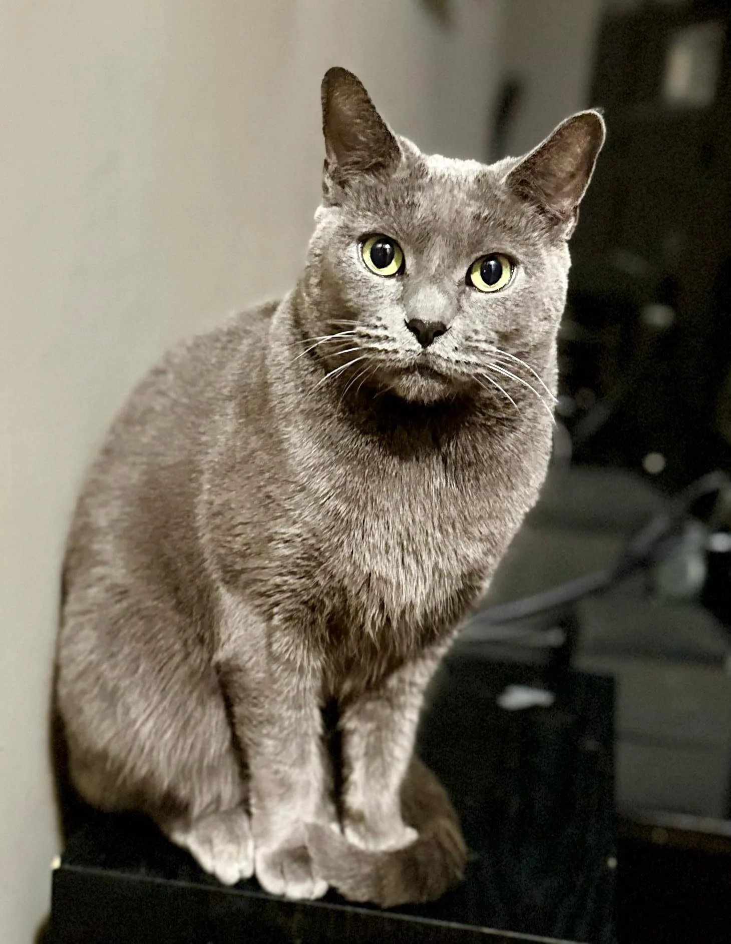 Smokey