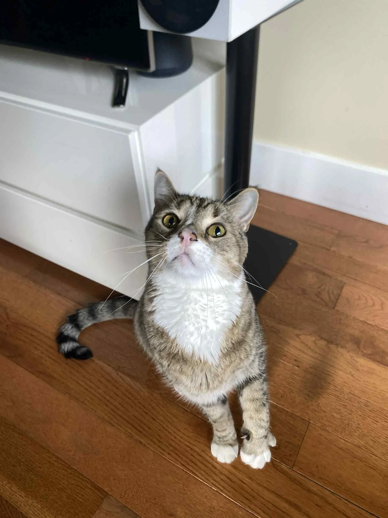 Diego
