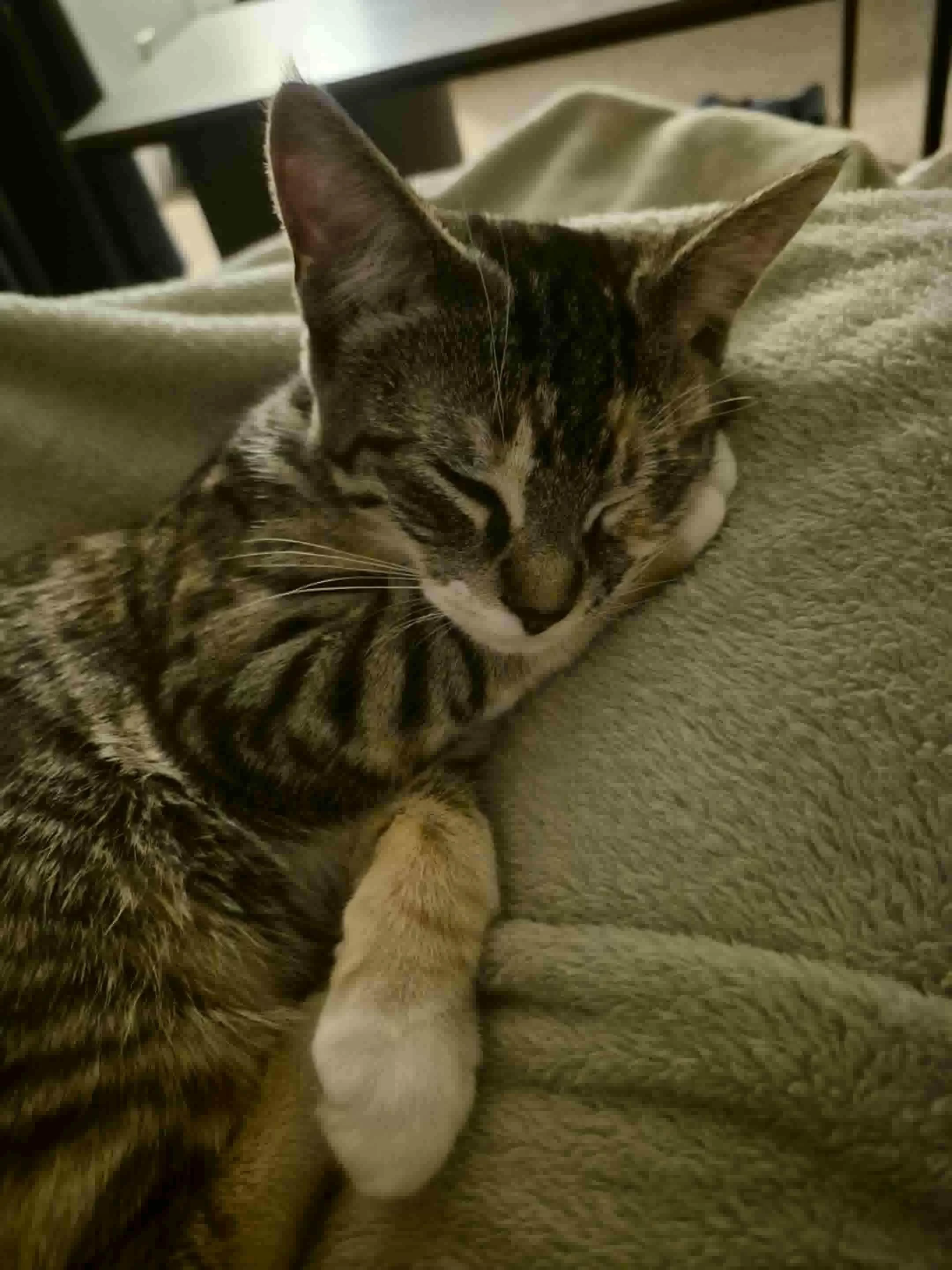 Kiki