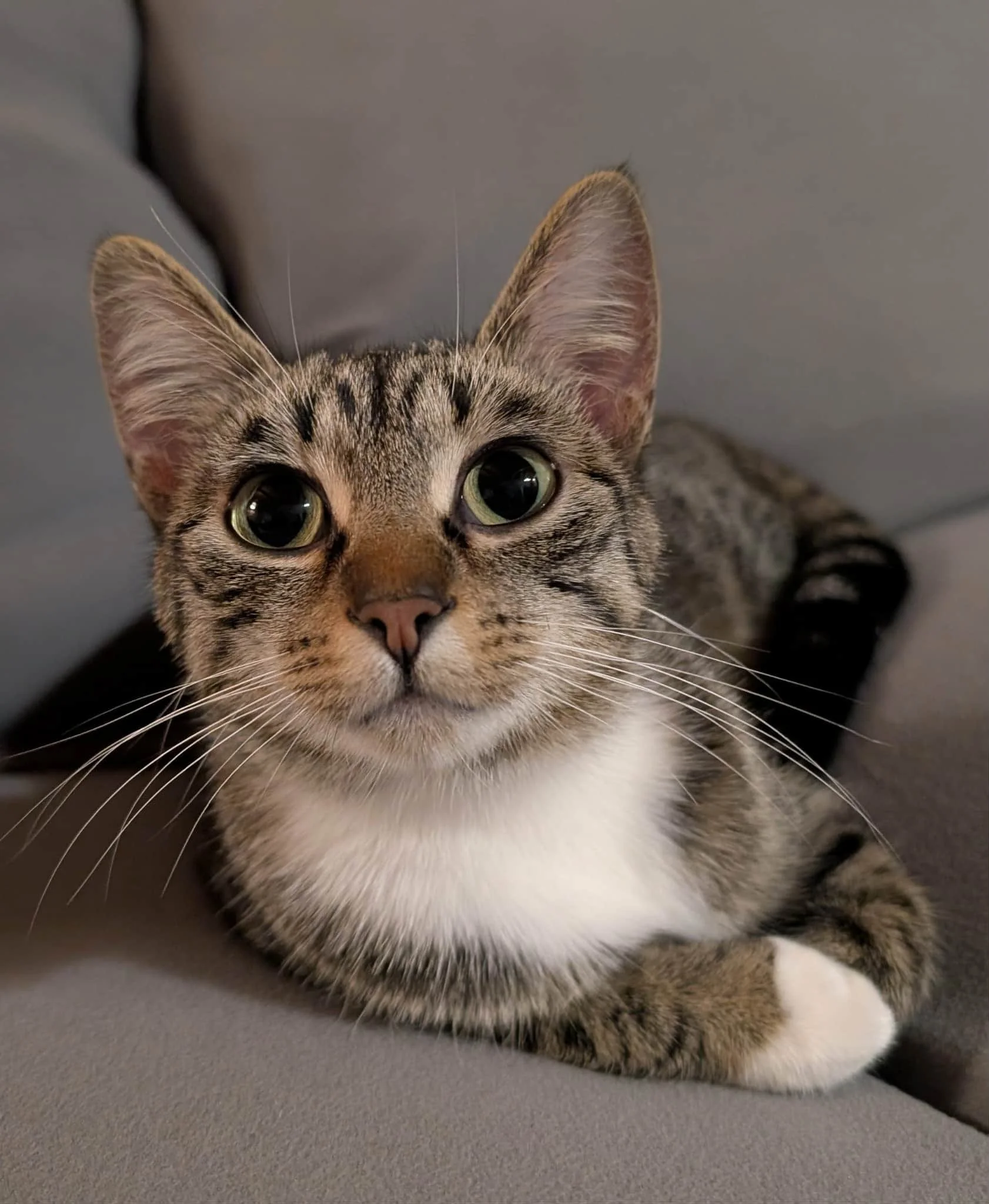 Molly