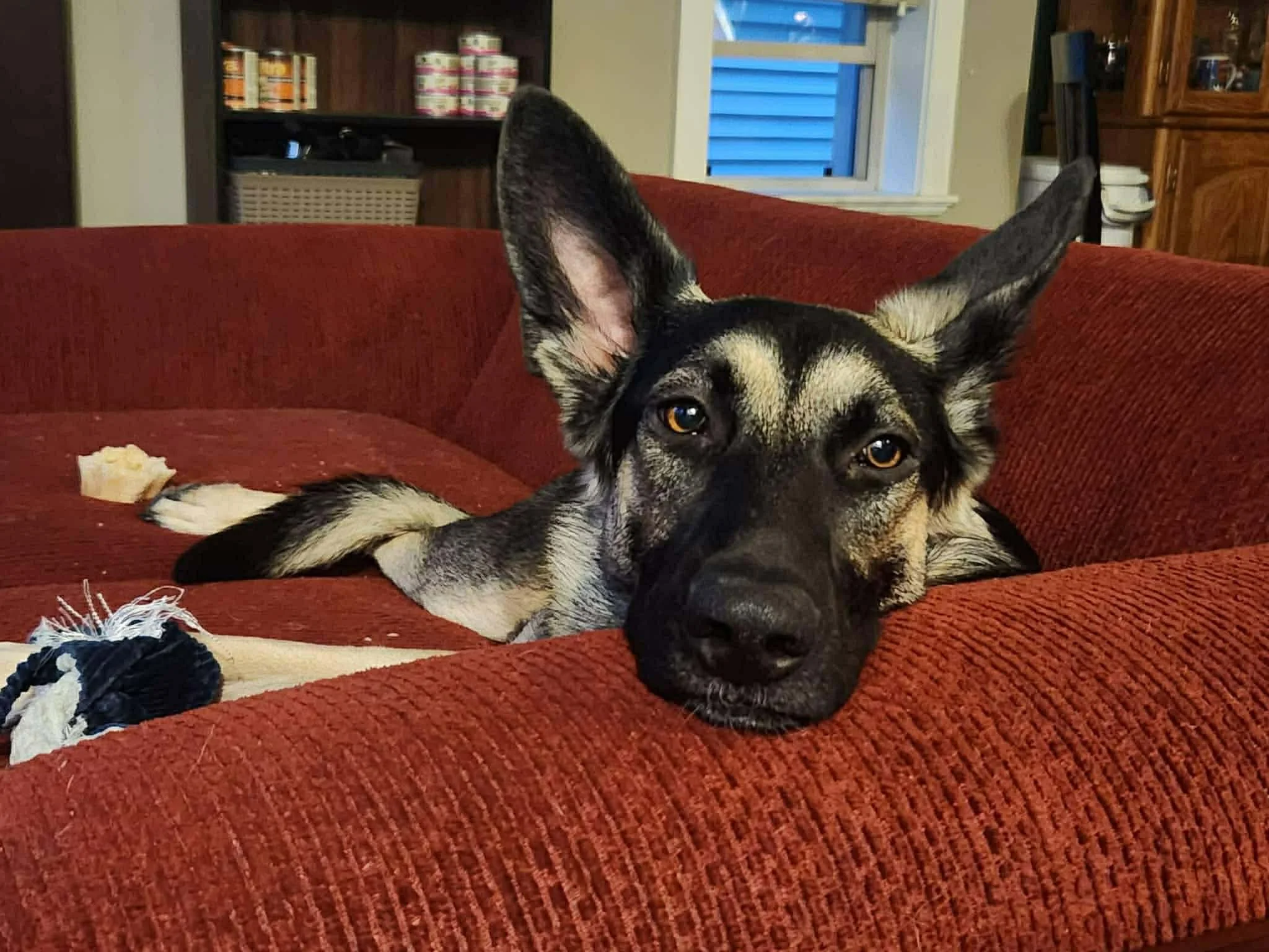 Winnie