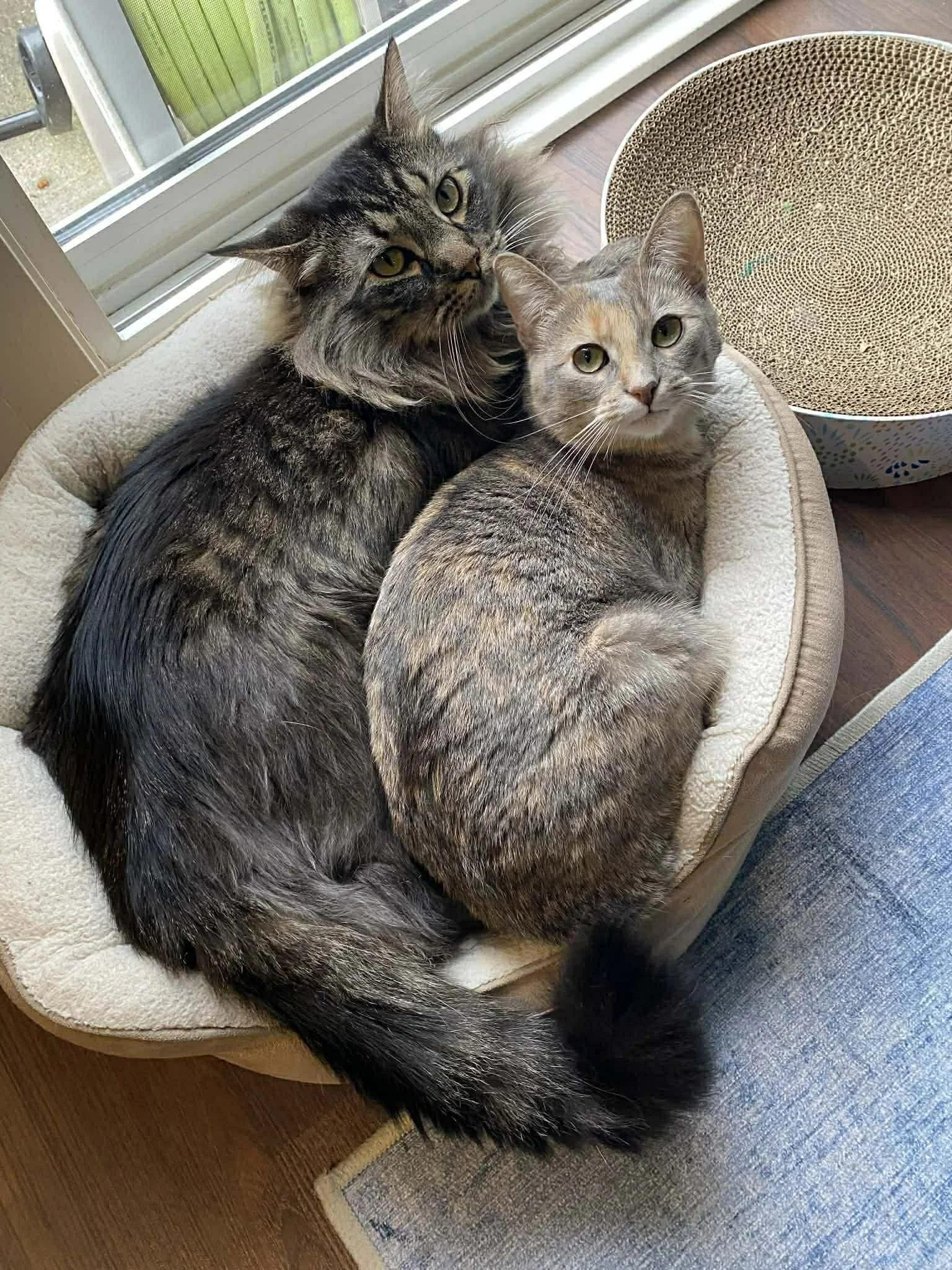 Labamba & Missy Elliot 