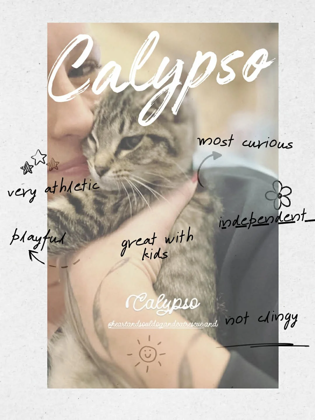 Calypso