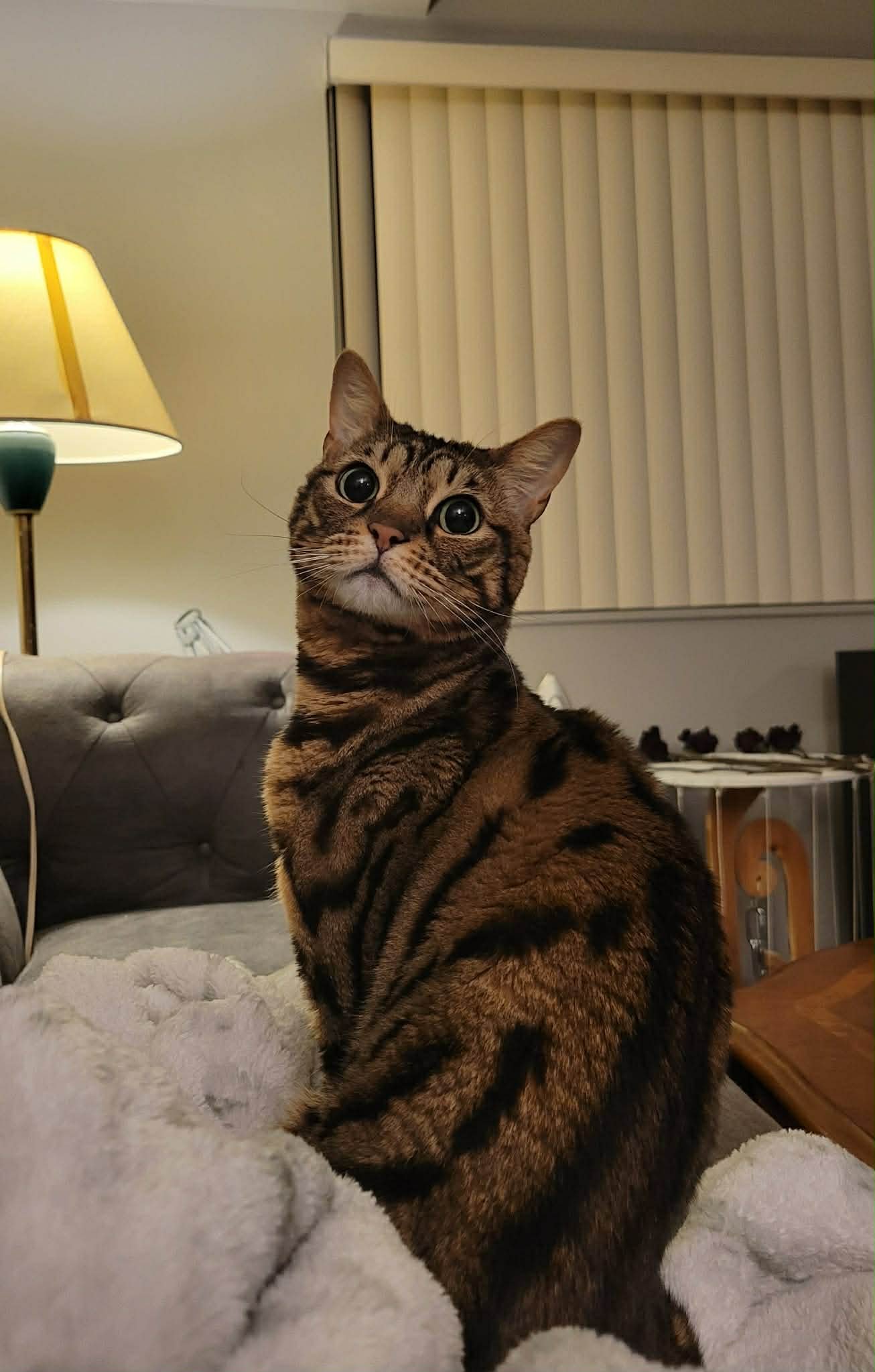 Amara