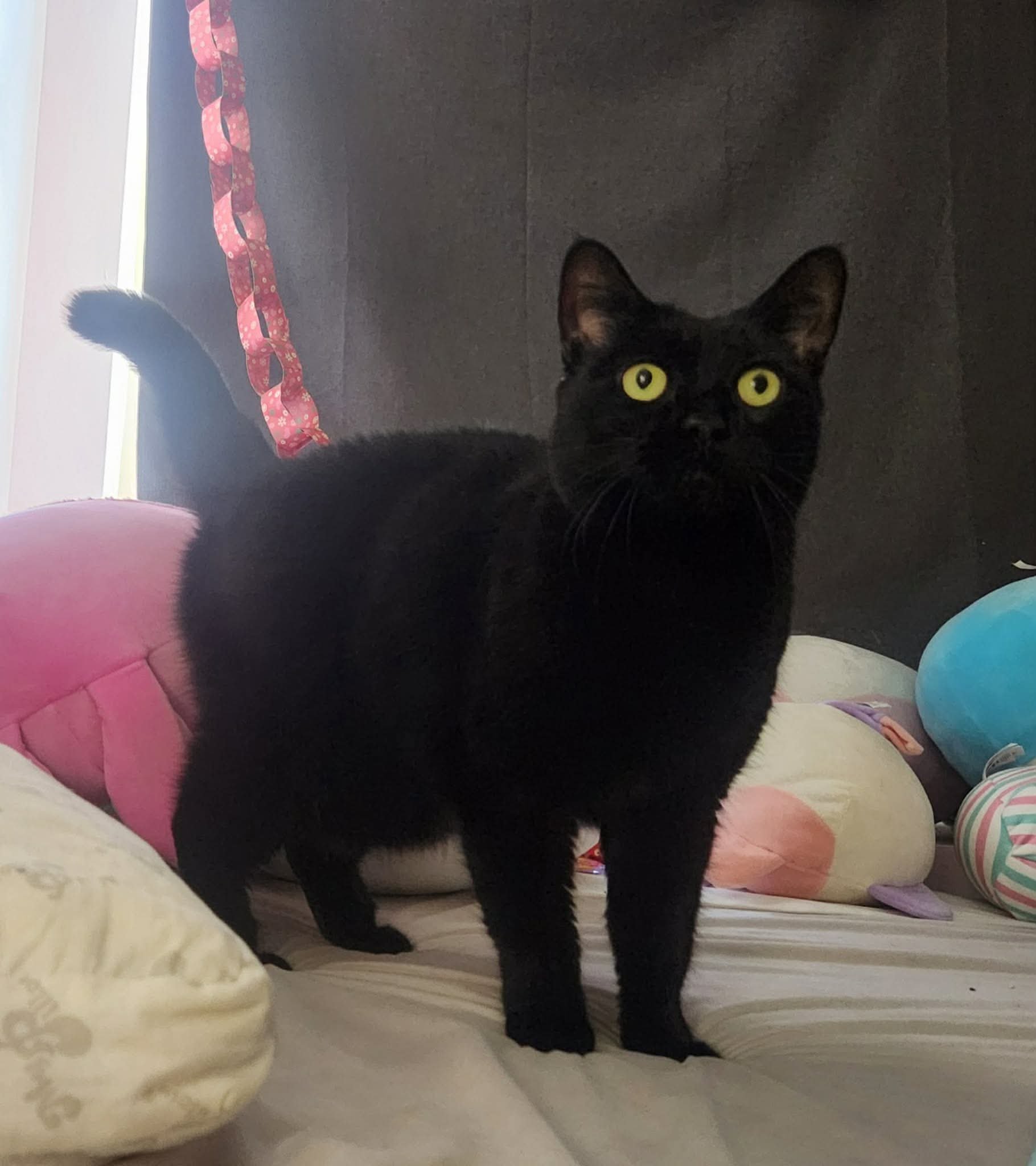 Salem