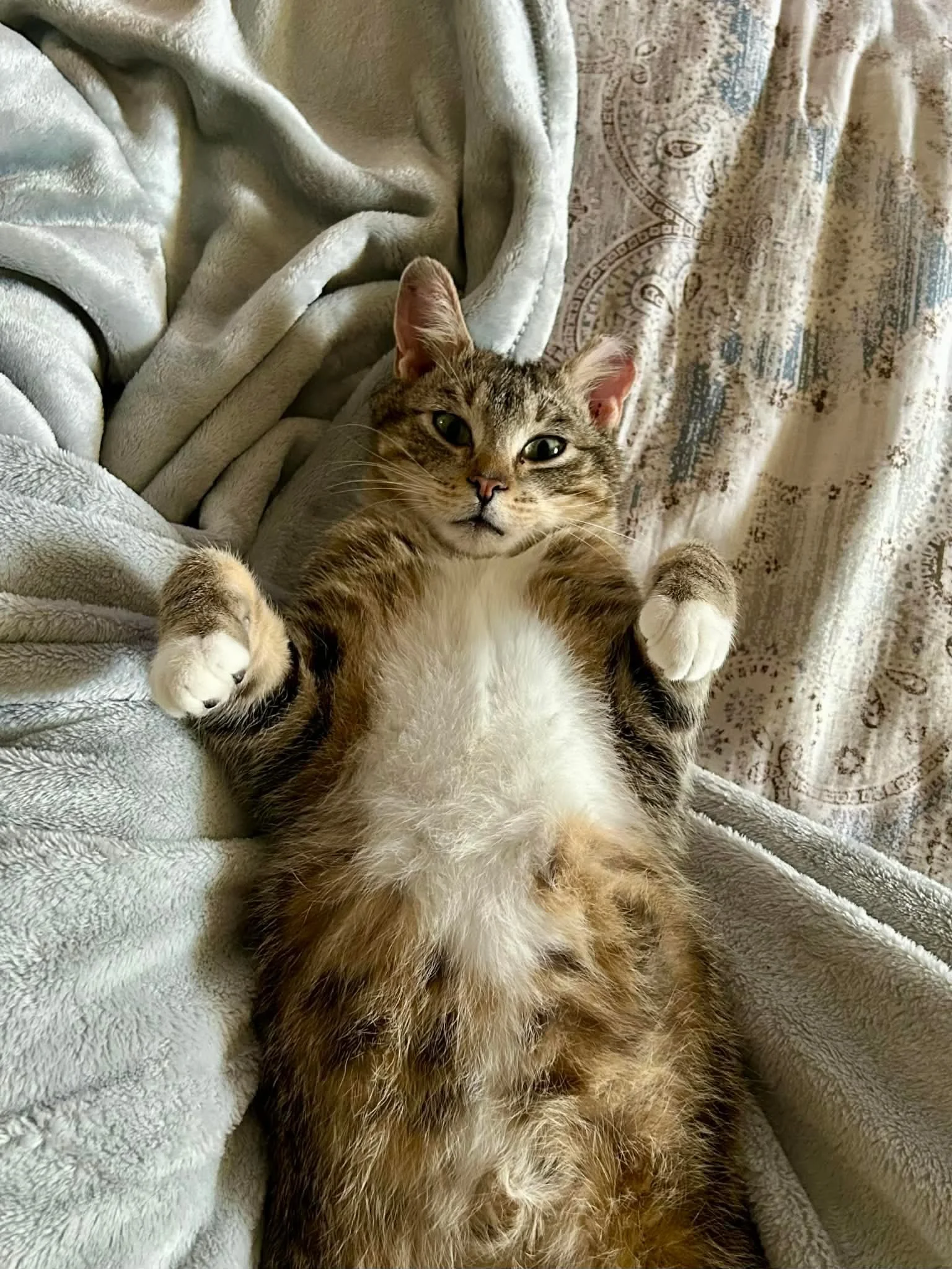Leonard