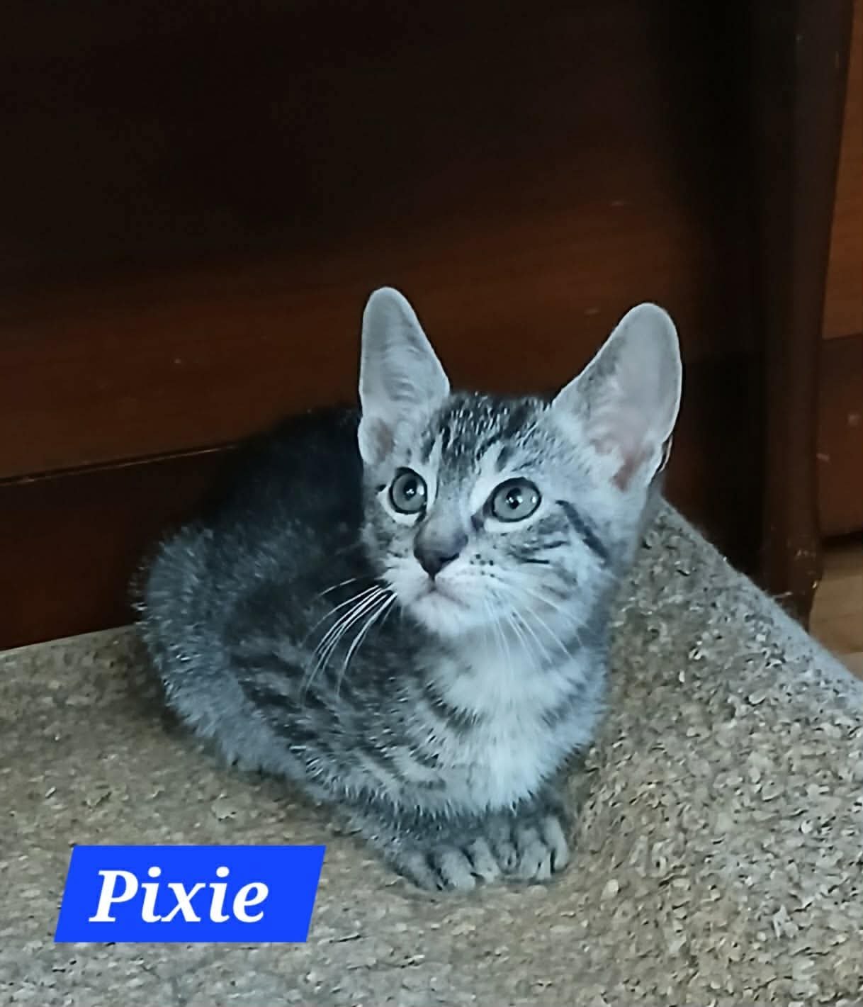 Pixie