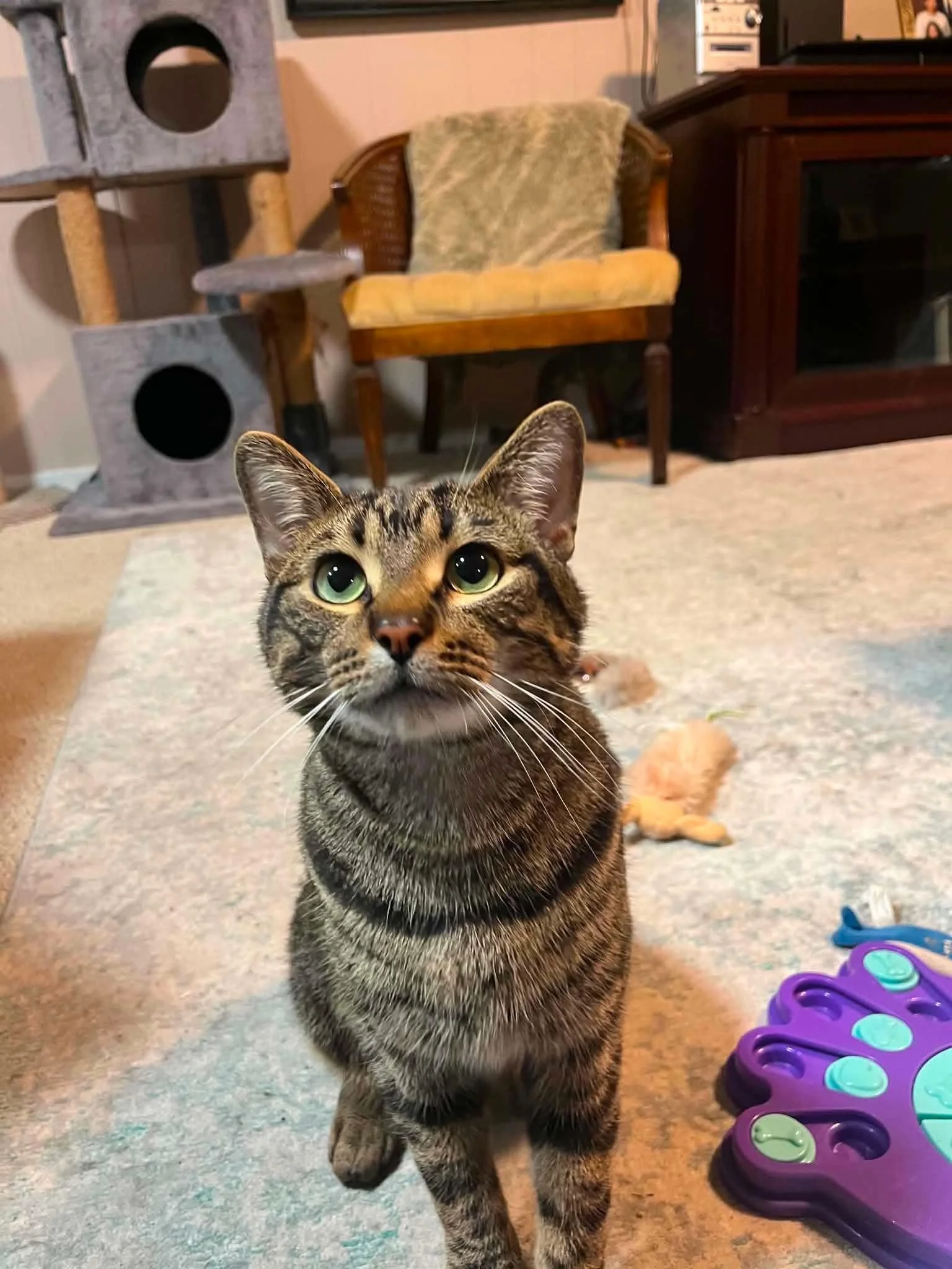 Pepper